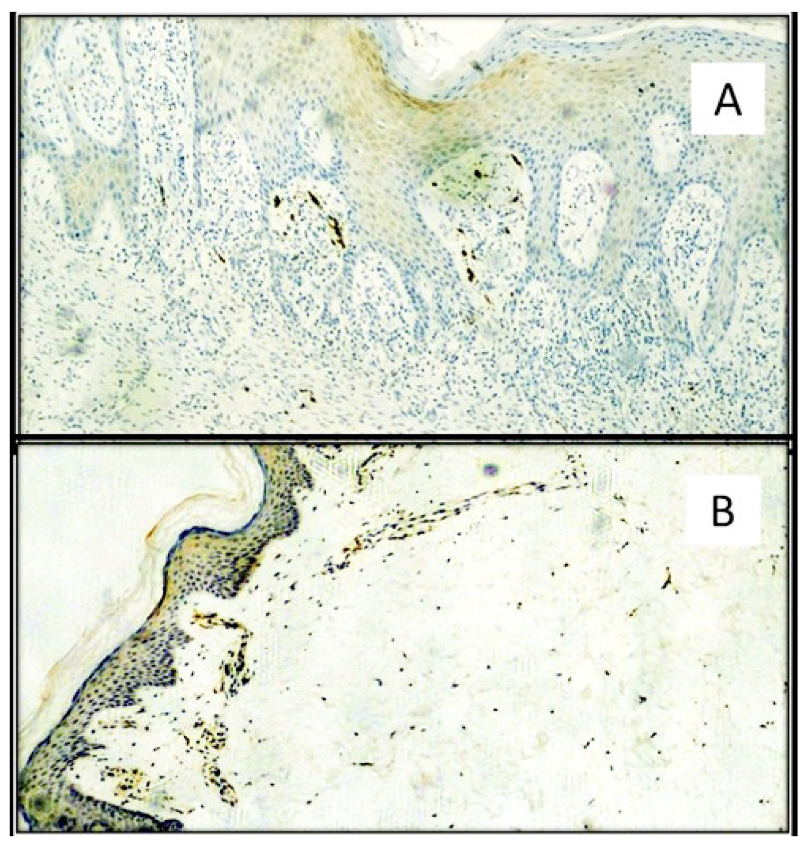 Biomolecules 11 01219 g008 550