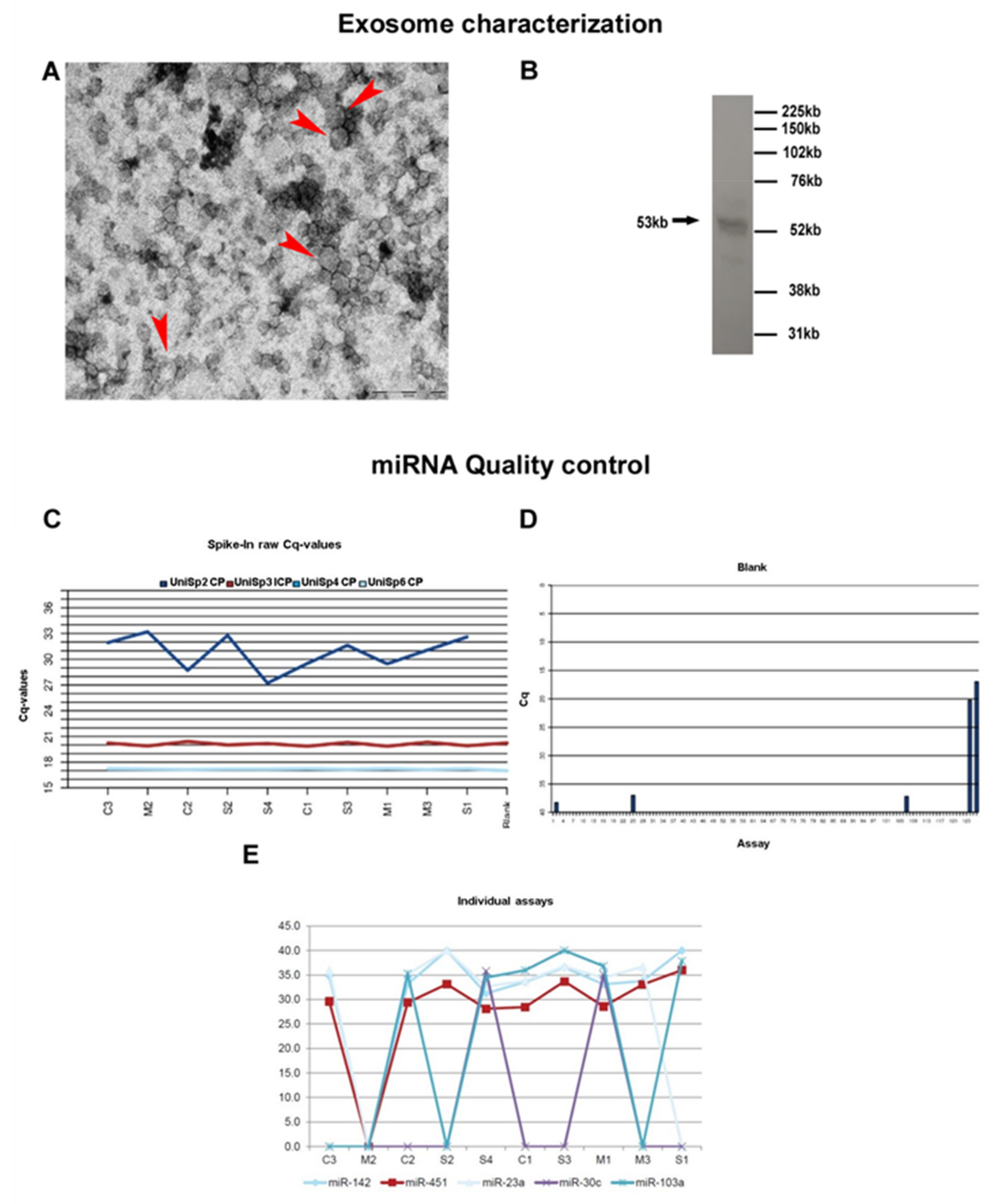 Biomolecules 11 01220 g001