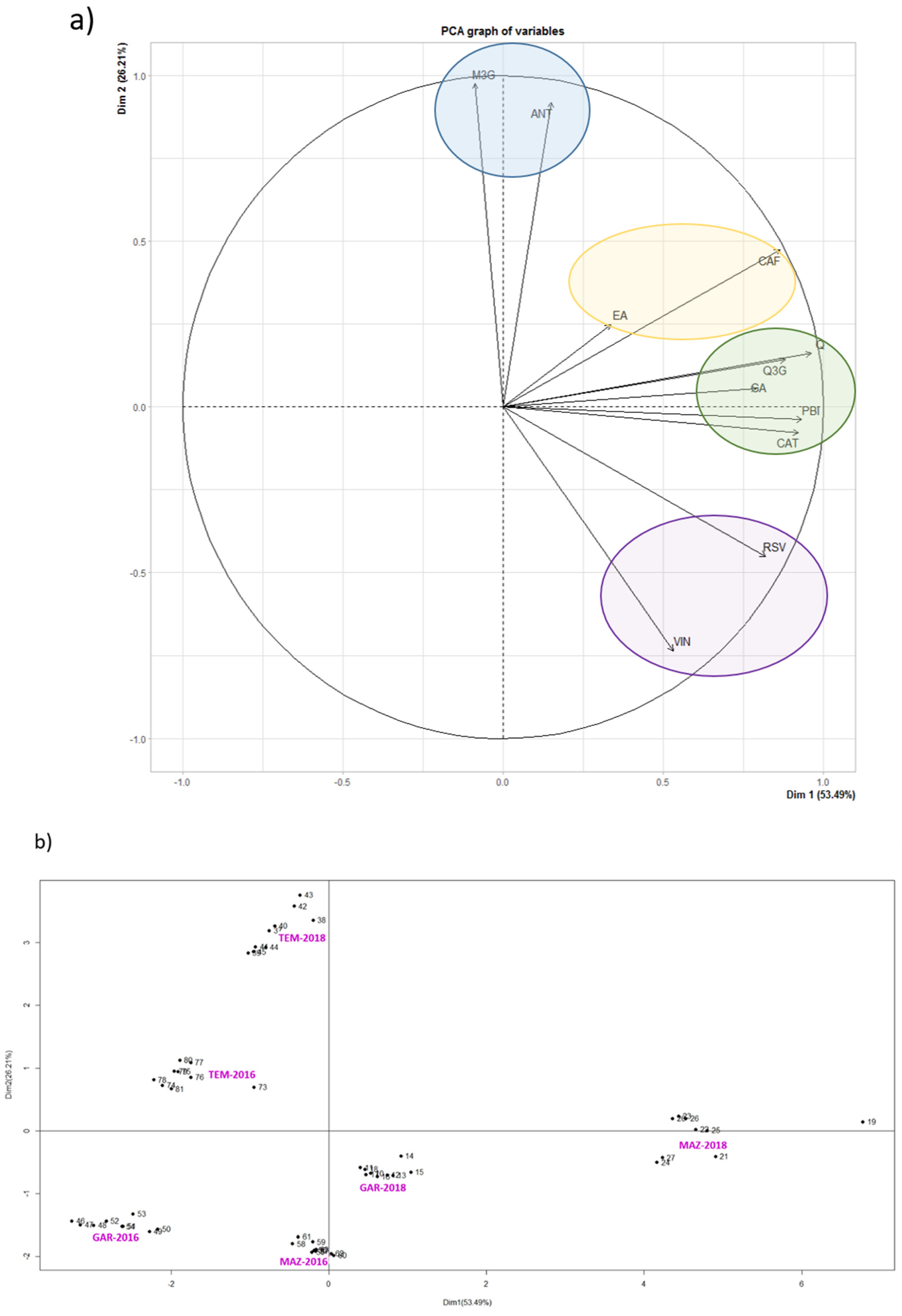 Biomolecules 11 01221 g001