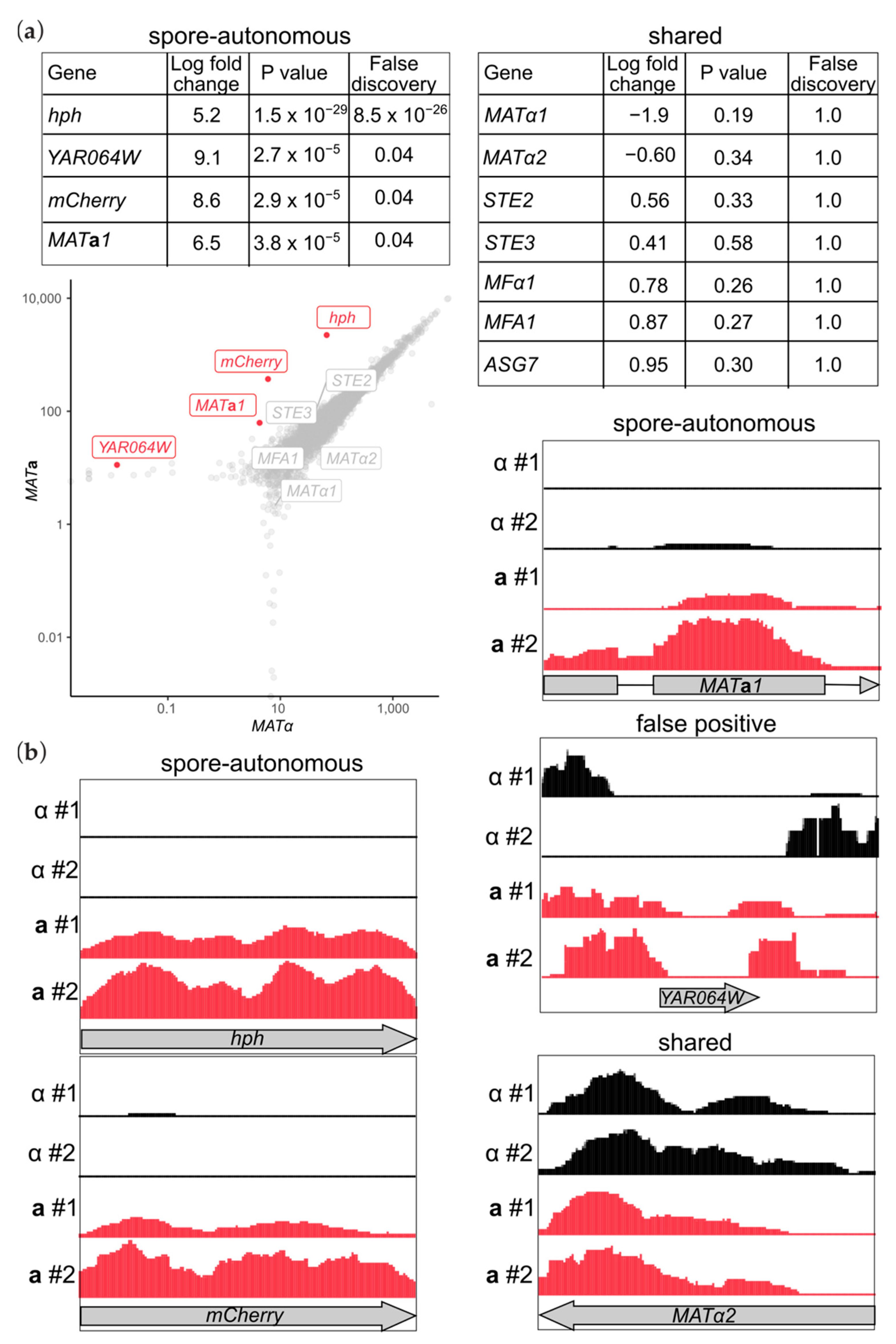 Biomolecules 11 01223 g002 Biomolecules 11 01223 g002