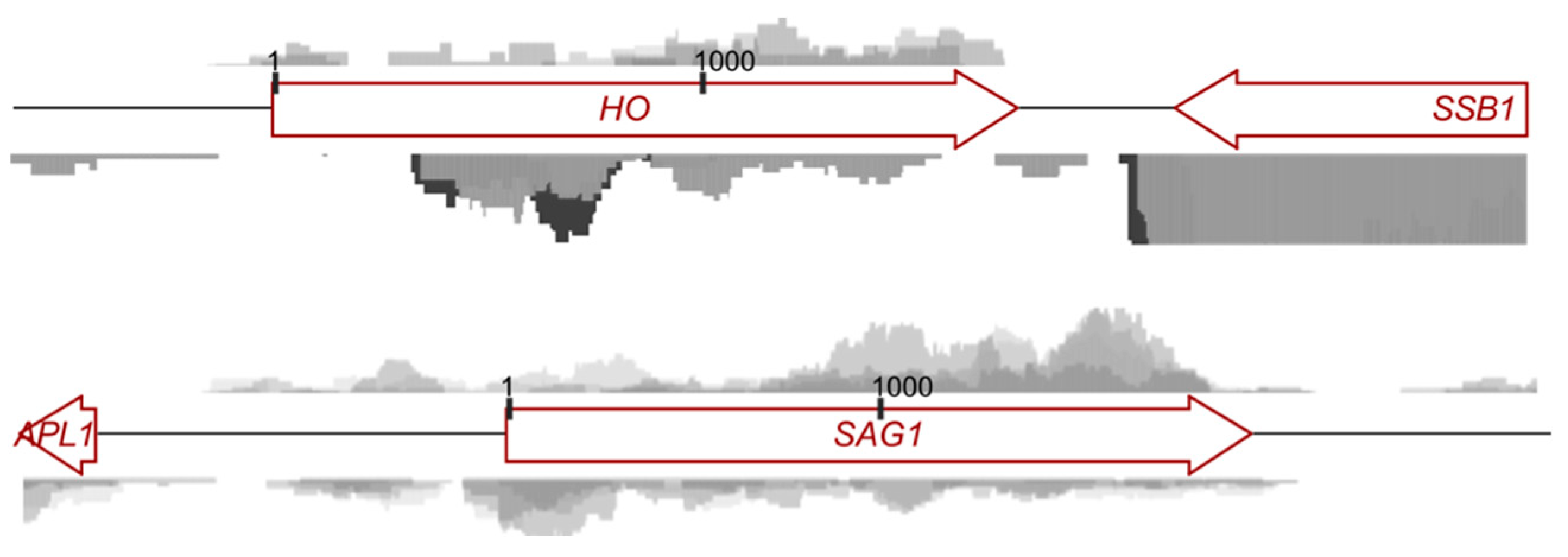 Biomolecules 11 01223 g005 Biomolecules 11 01223 g005