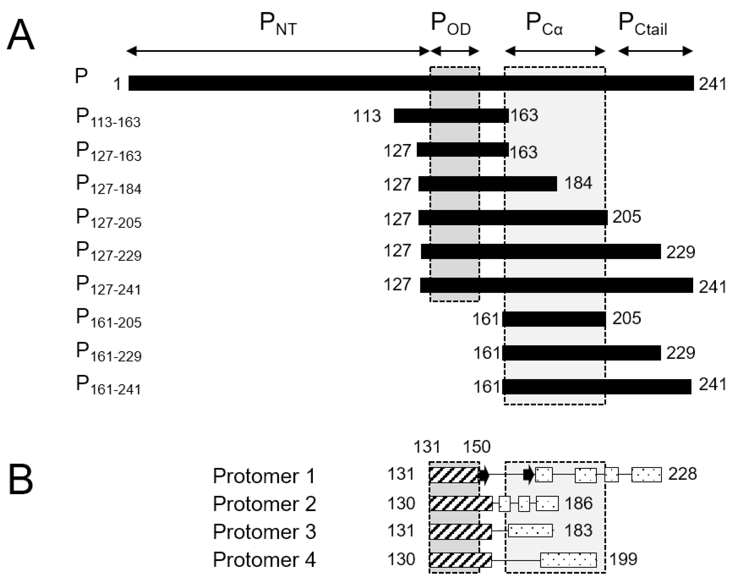 Biomolecules 11 01225 g001 550