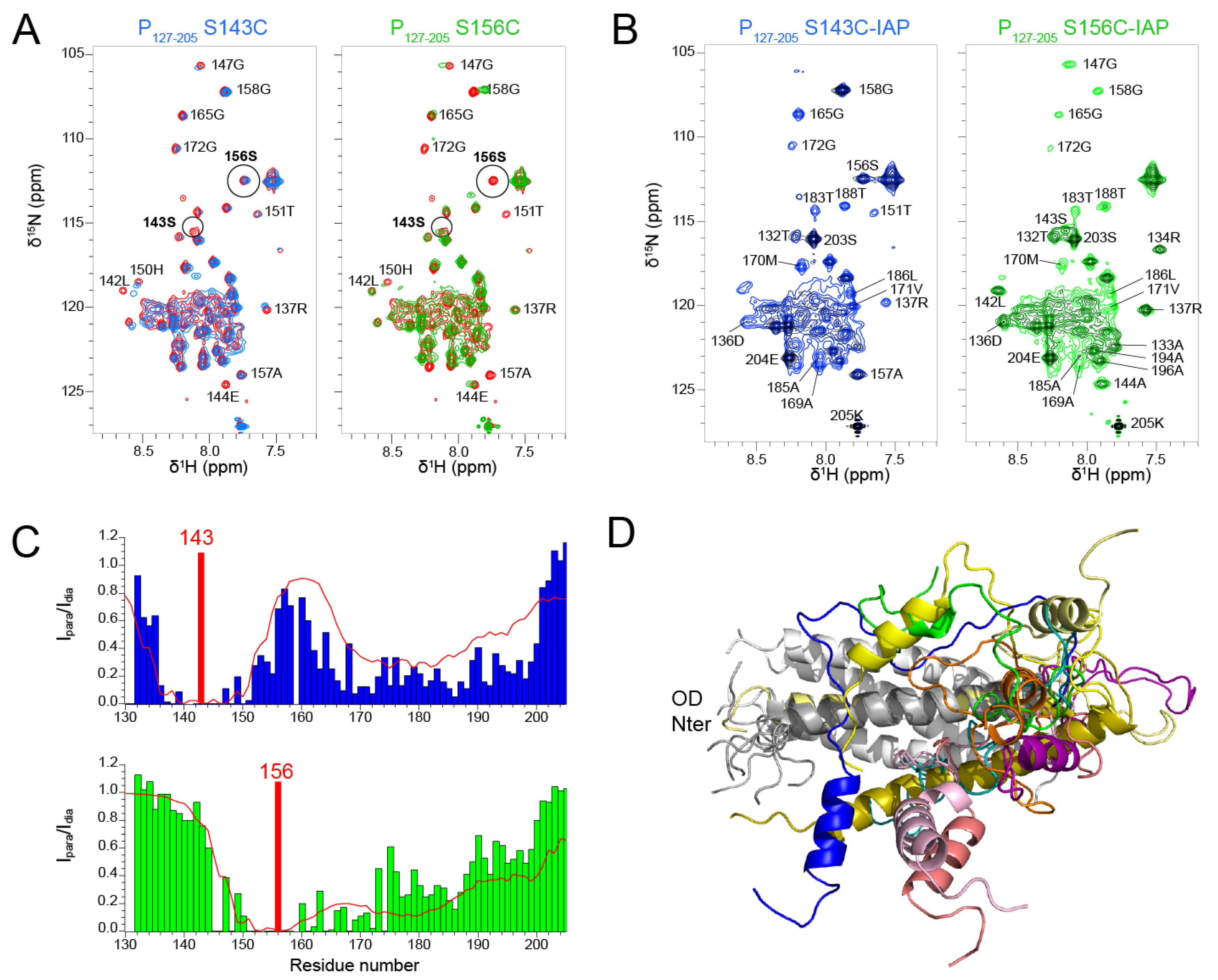 Biomolecules Free Full Text A Structural And Dynamic Analysis Of The Partially Disordered Polymerase Binding Domain In Rsv Phosphoprotein Html Biomolecules Free Full Text A Structural And Dynamic Analysis Of The Partially Disordered Polymerase Binding Domain In Rsv Phosphoprotein Html