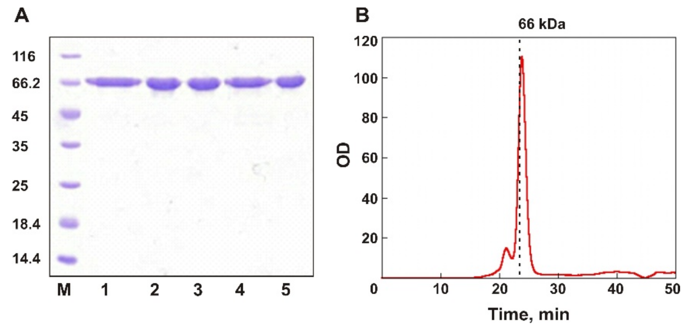 Biomolecules 11 01229 g002
