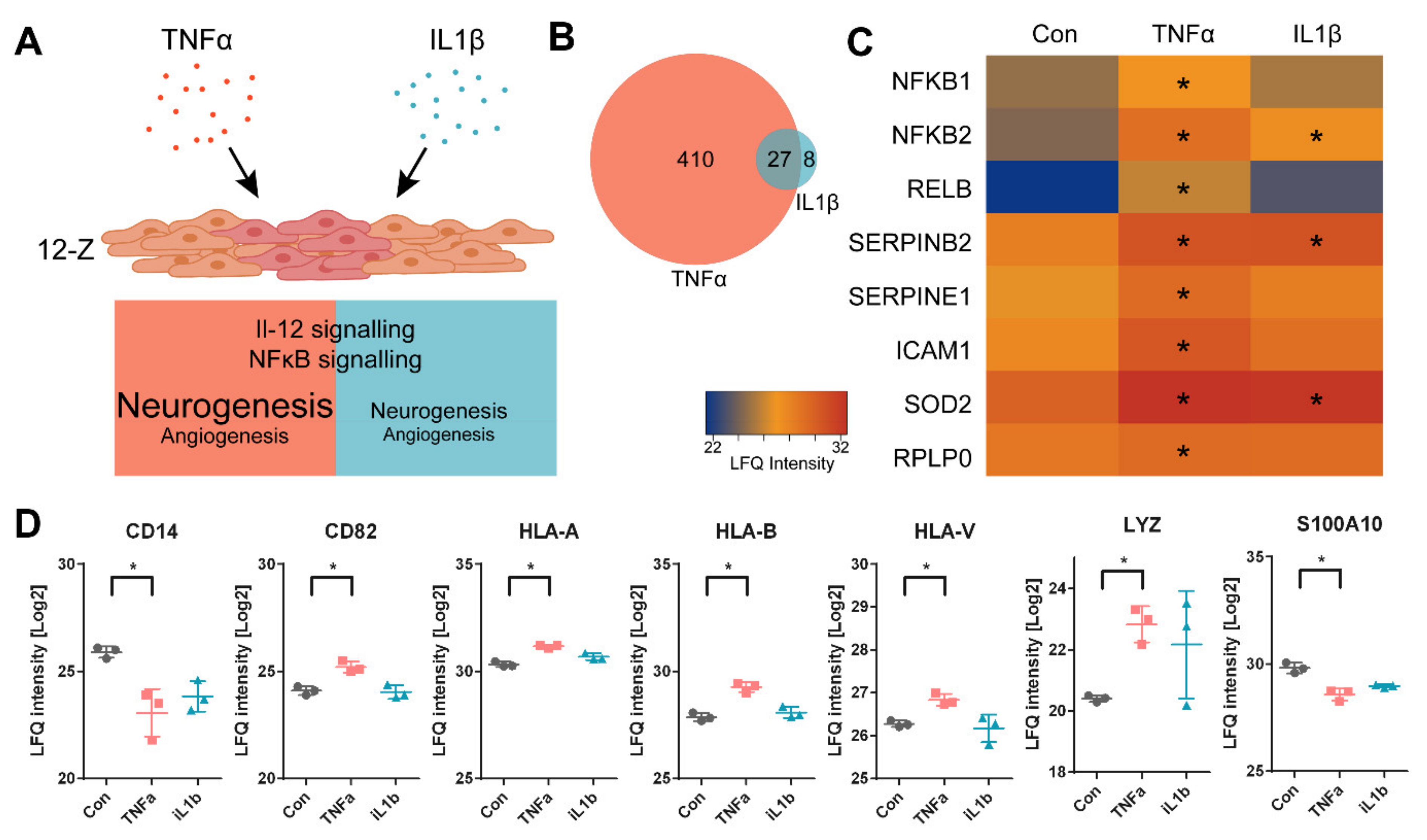 Biomolecules 11 01230 g001 Biomolecules 11 01230 g001