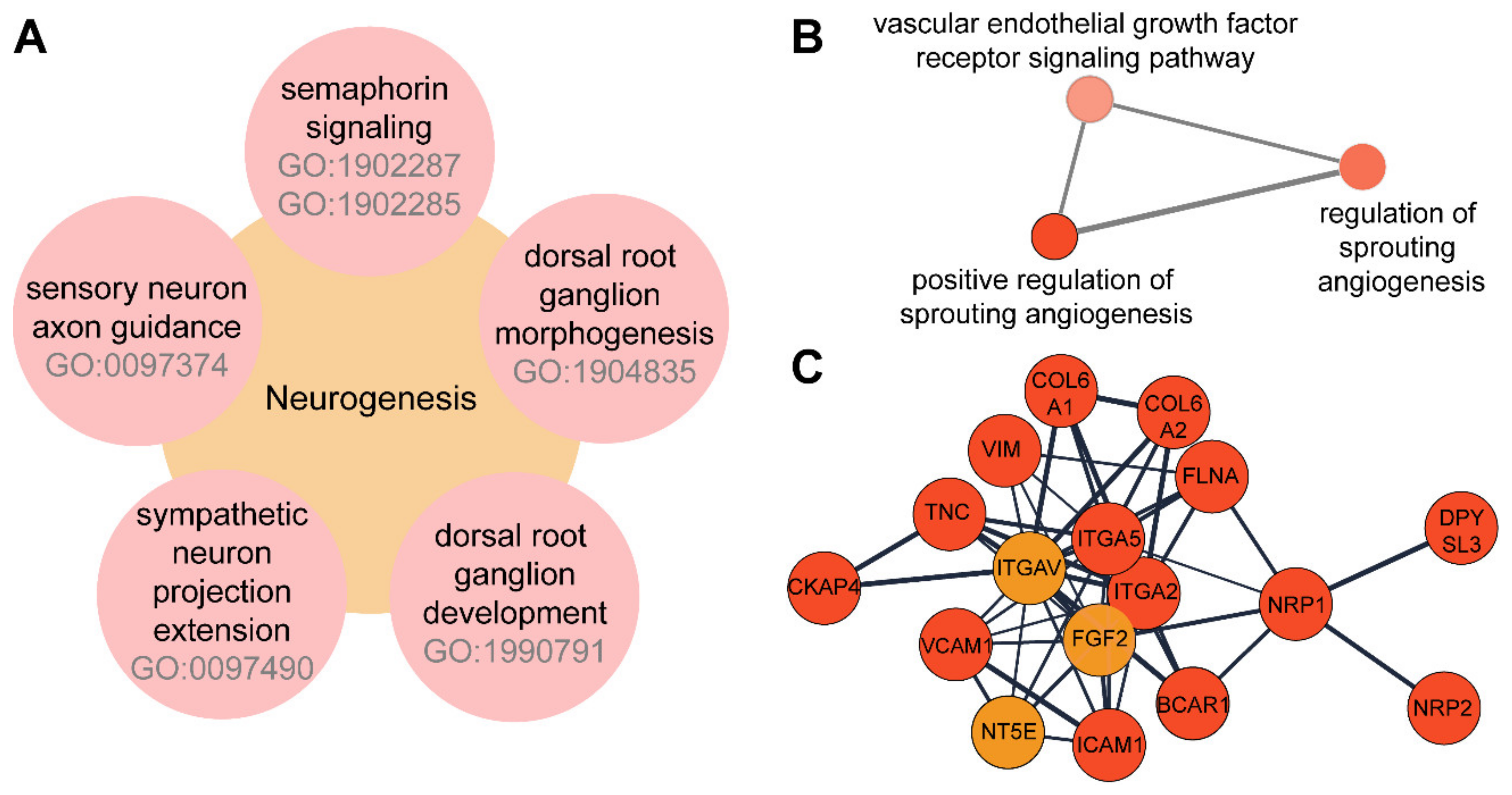 Biomolecules 11 01230 g002 Biomolecules 11 01230 g002