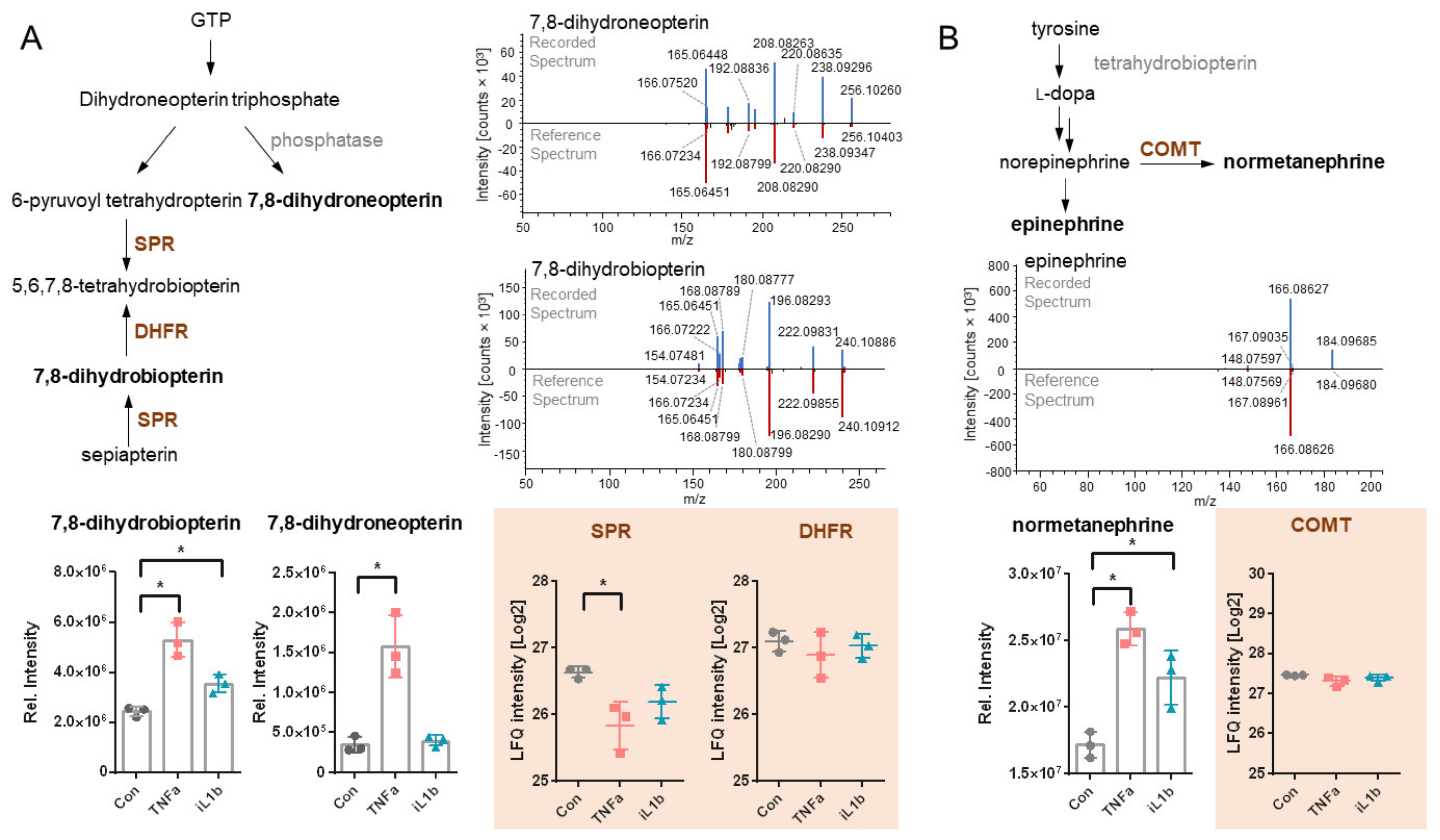 Biomolecules 11 01230 g004 Biomolecules 11 01230 g004