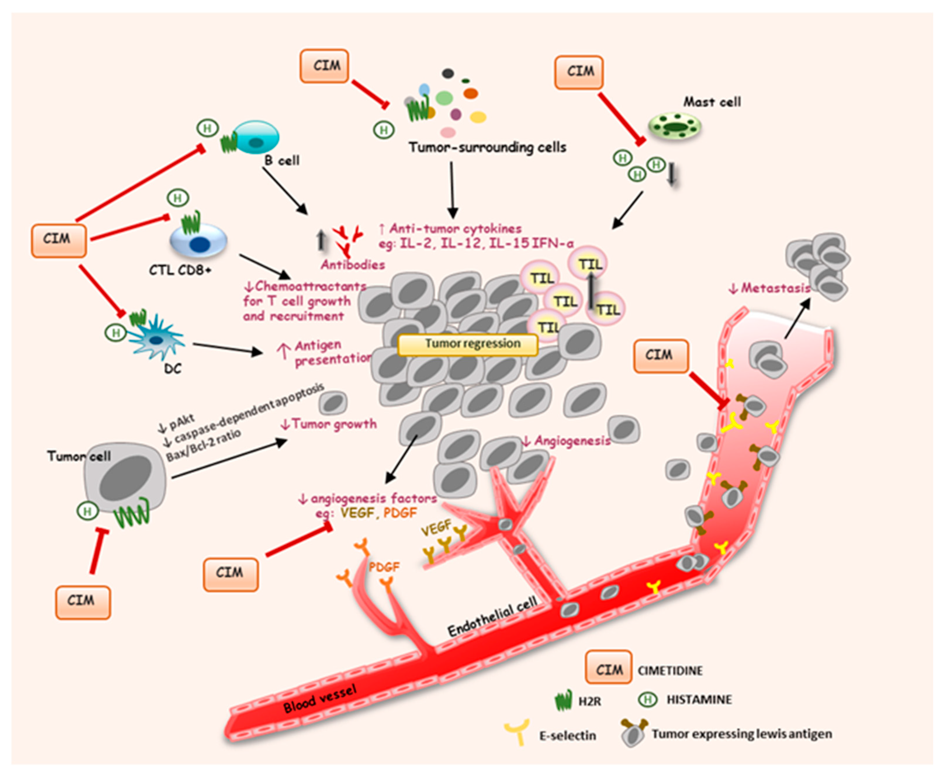 Biomolecules 11 01232 g003