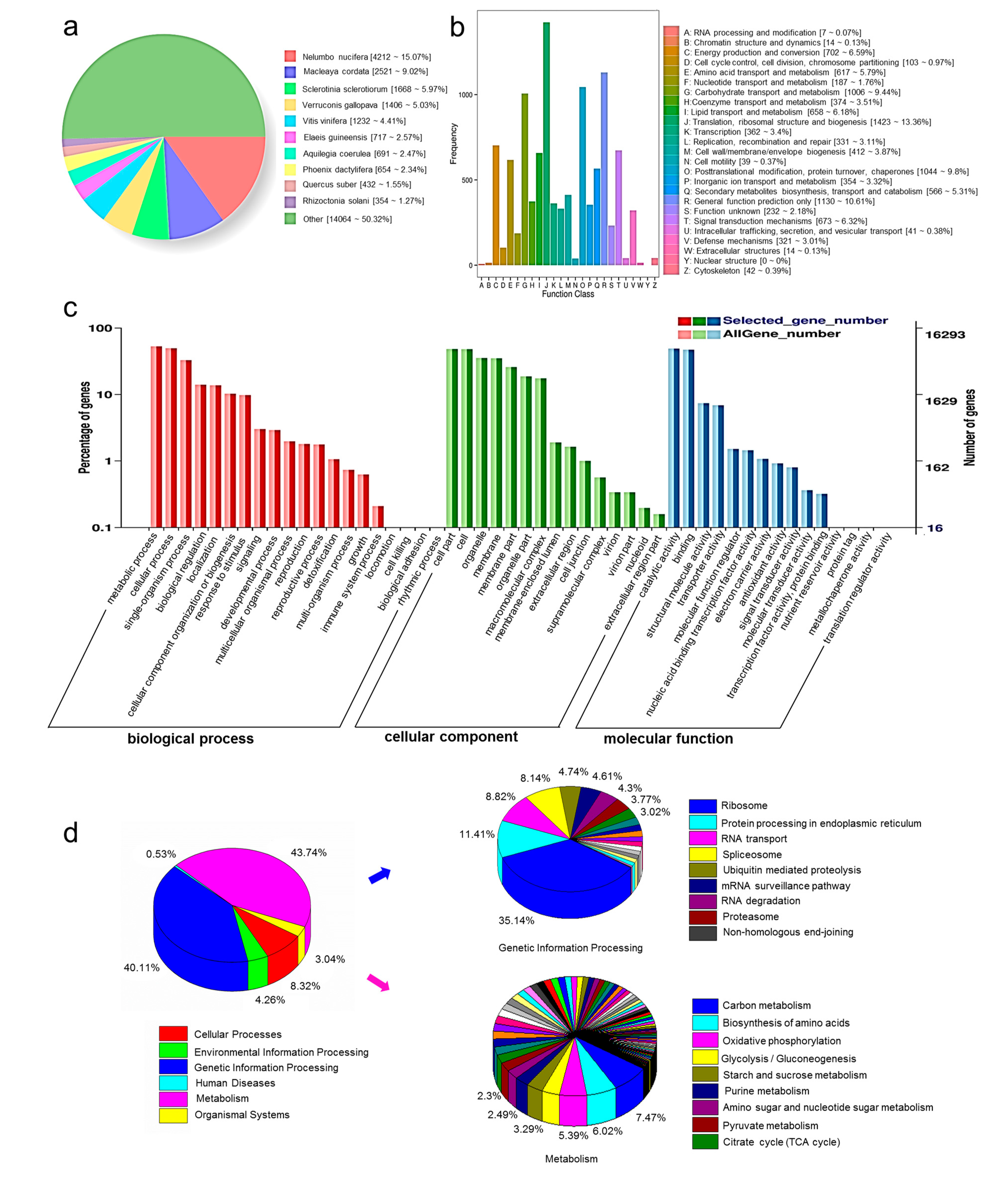 Biomolecules 11 01233 g002