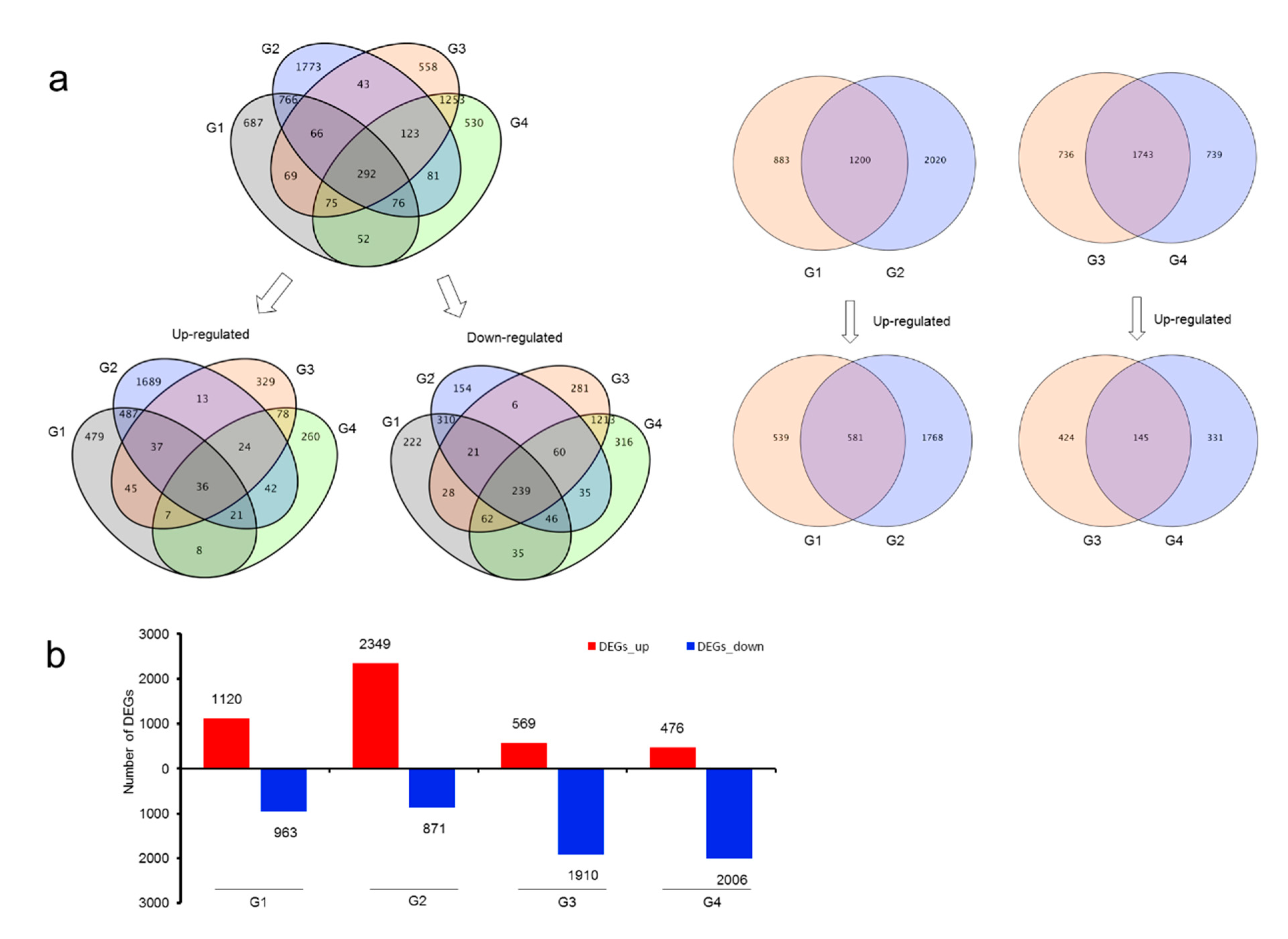 Biomolecules 11 01233 g003