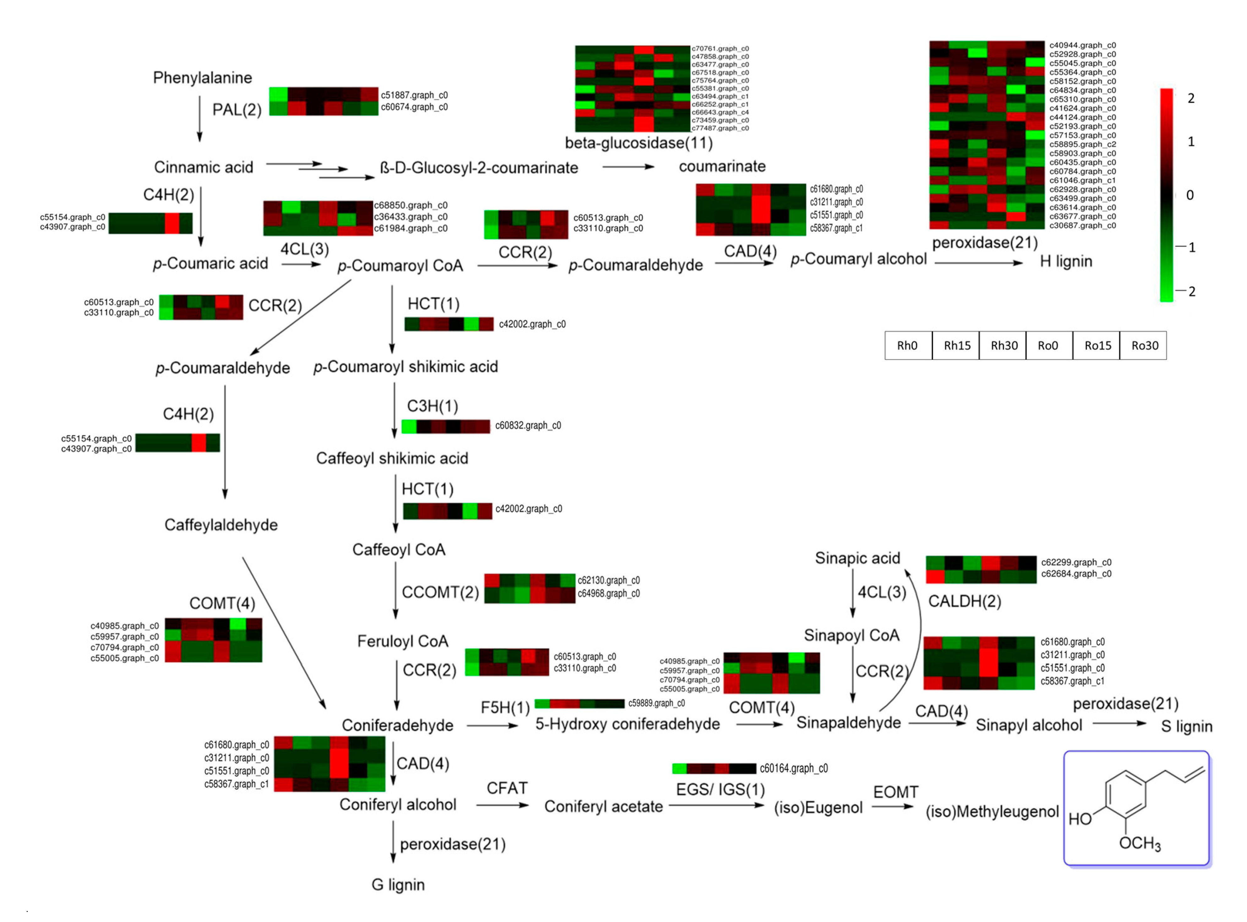 Biomolecules 11 01233 g006