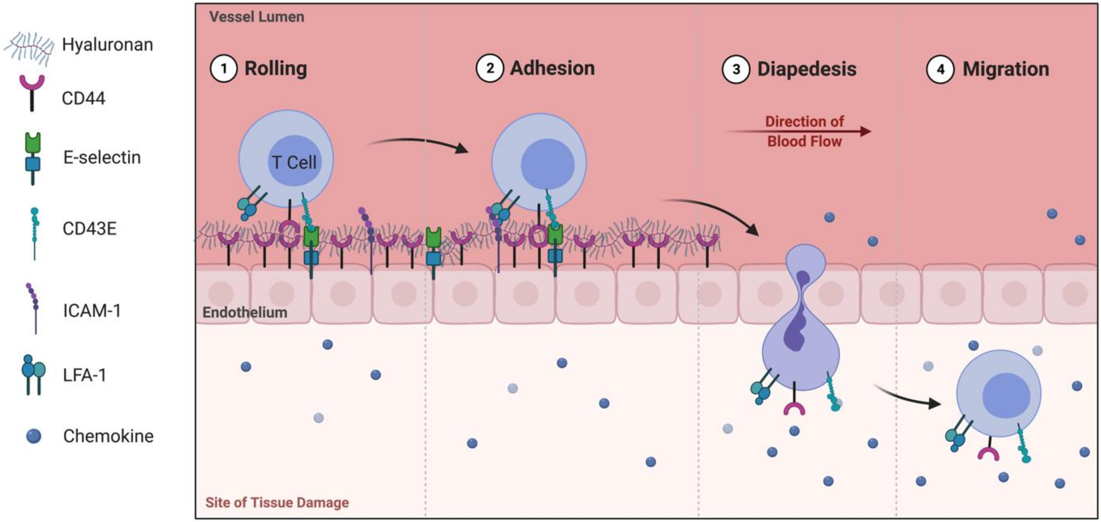 Biomolecules 11 01234 g001 Biomolecules 11 01234 g001