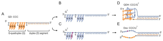 Impact of a Single Nucleotide Change or Non-Nucleoside