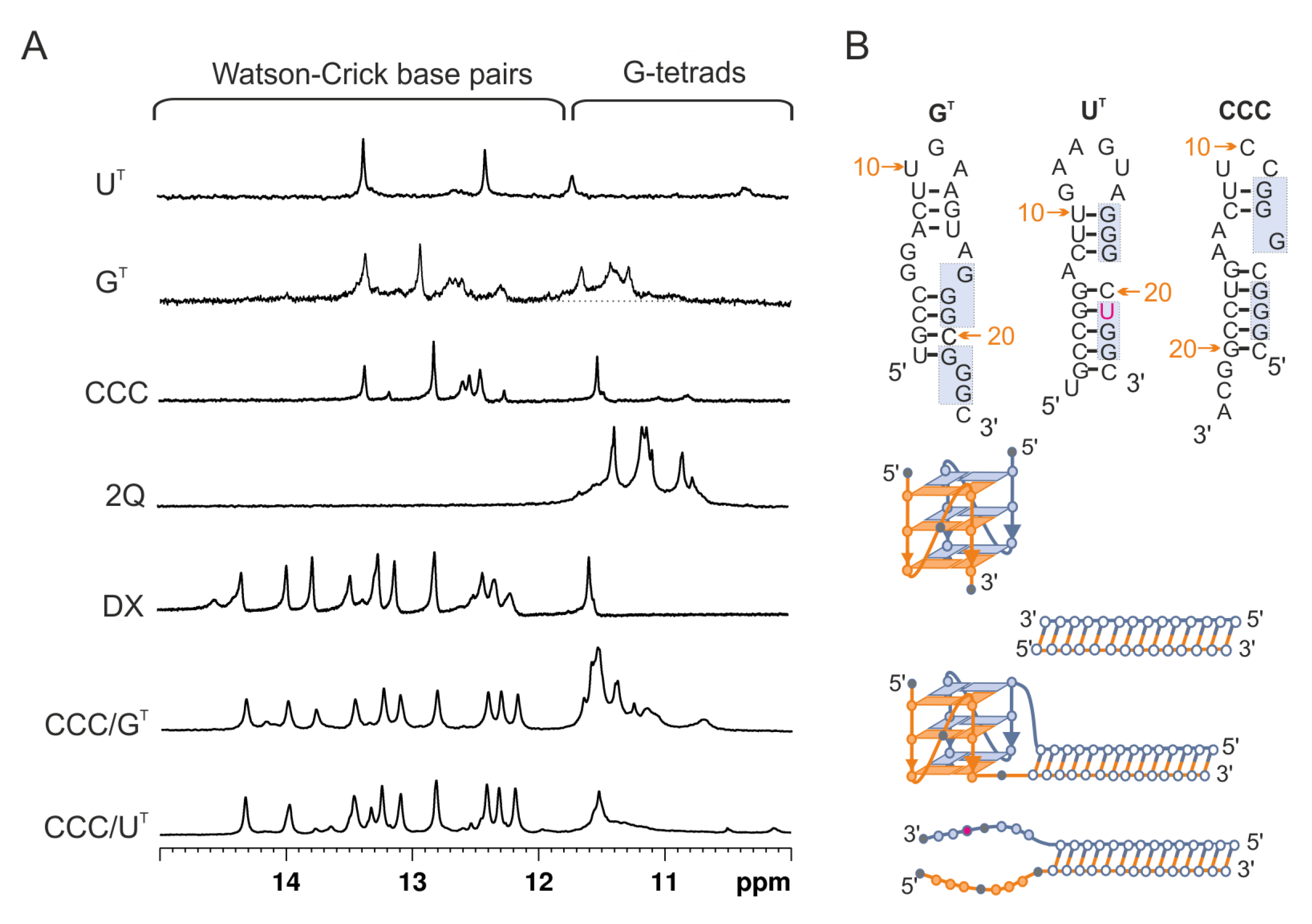 Biomolecules 11 01236 g002