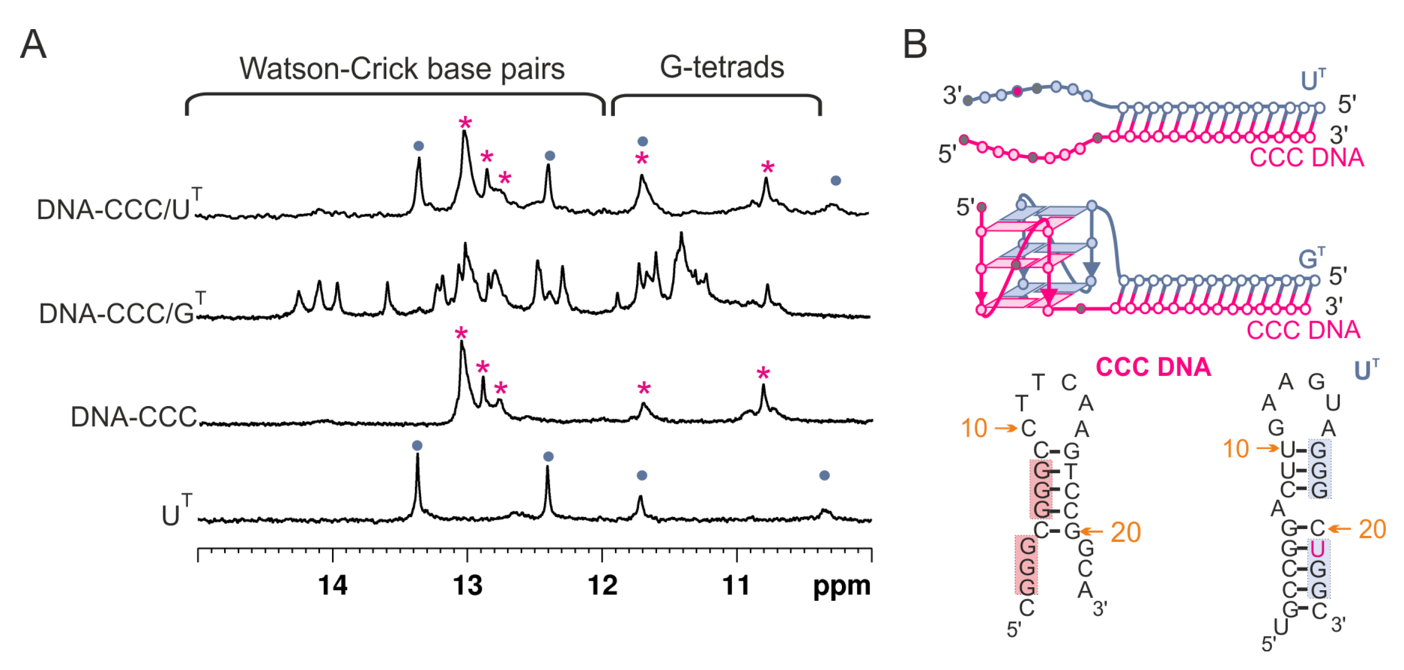Biomolecules 11 01236 g004