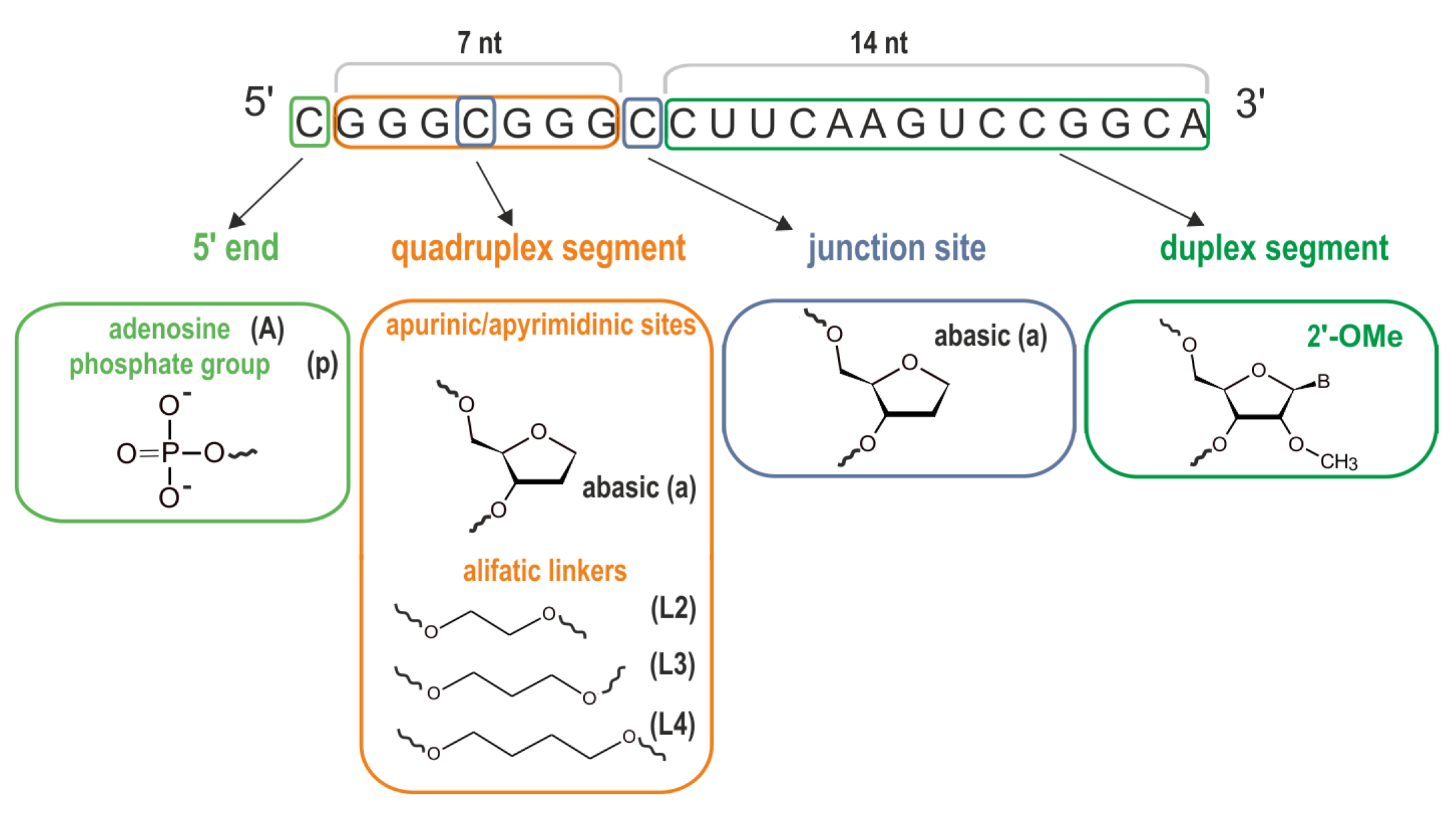 Biomolecules 11 01236 g006