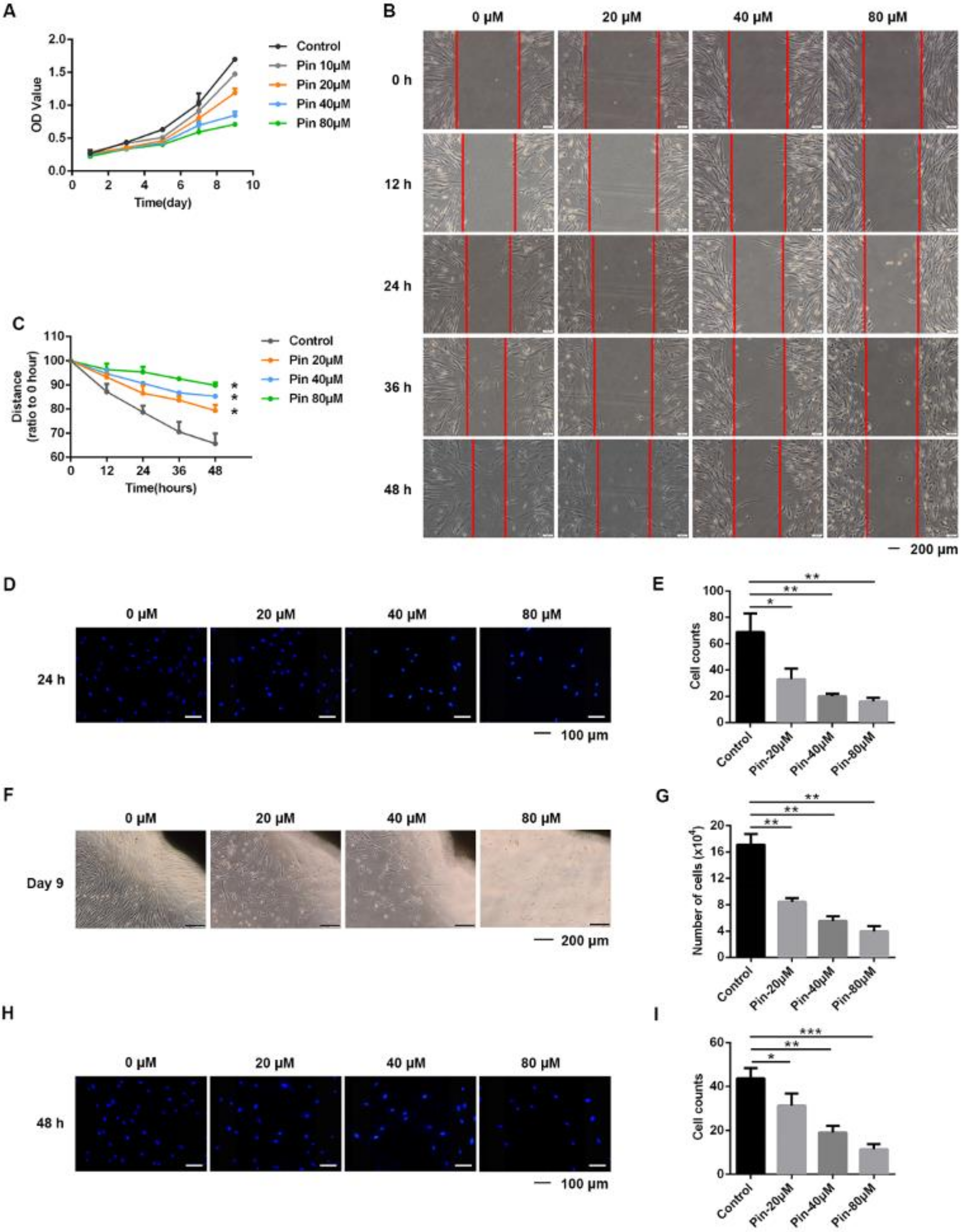 Biomolecules 11 01240 g002 550