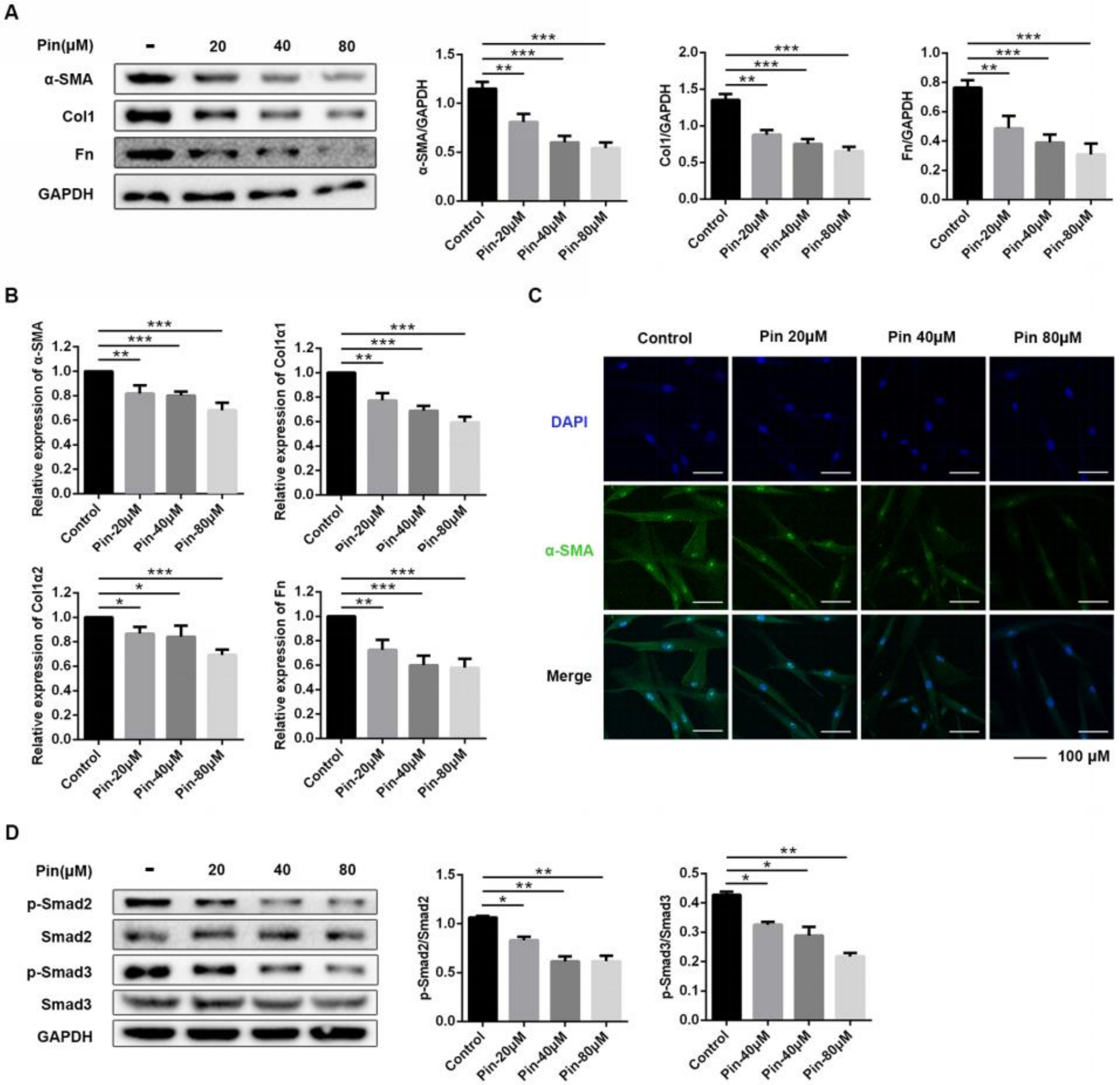 Biomolecules 11 01240 g004 550