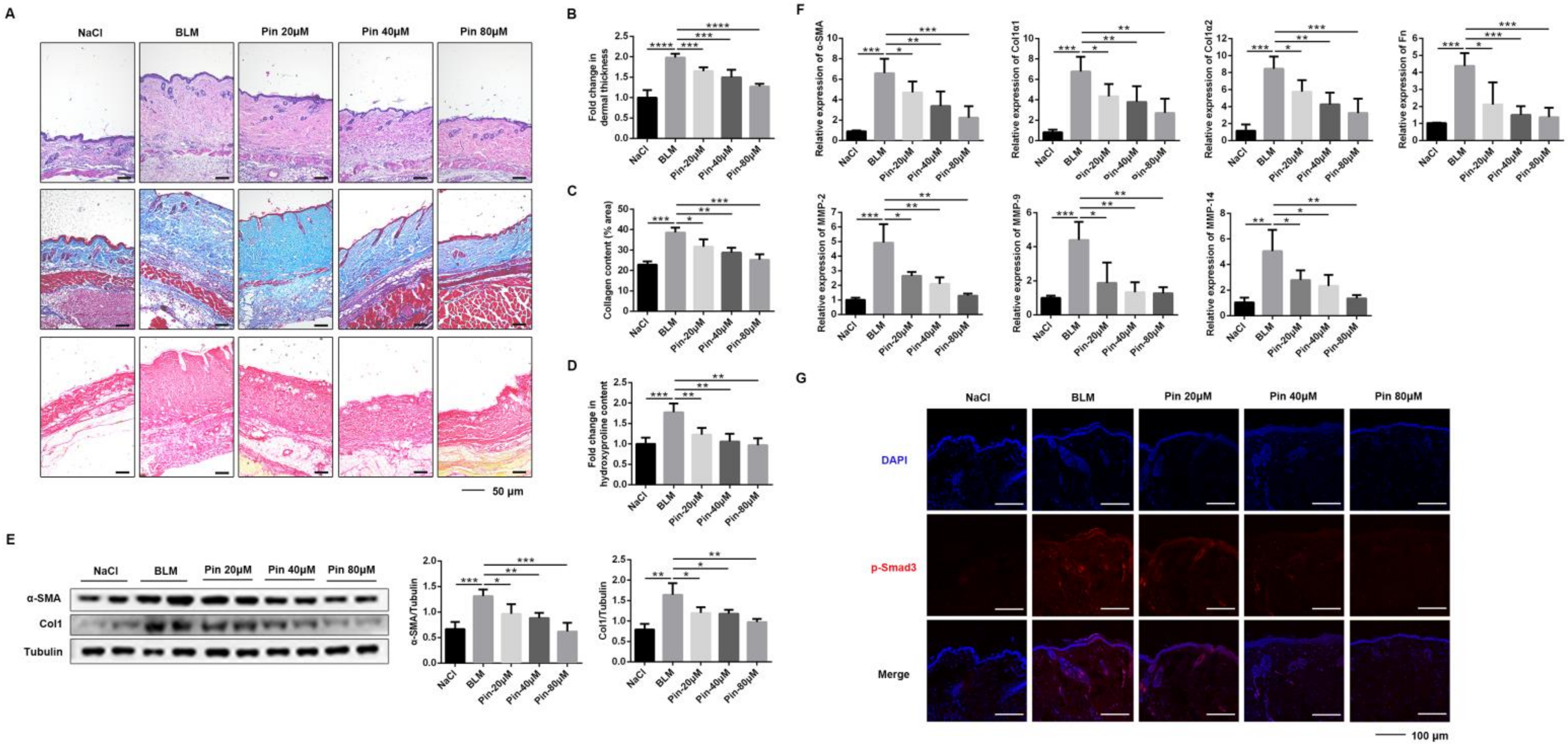 Biomolecules 11 01240 g005