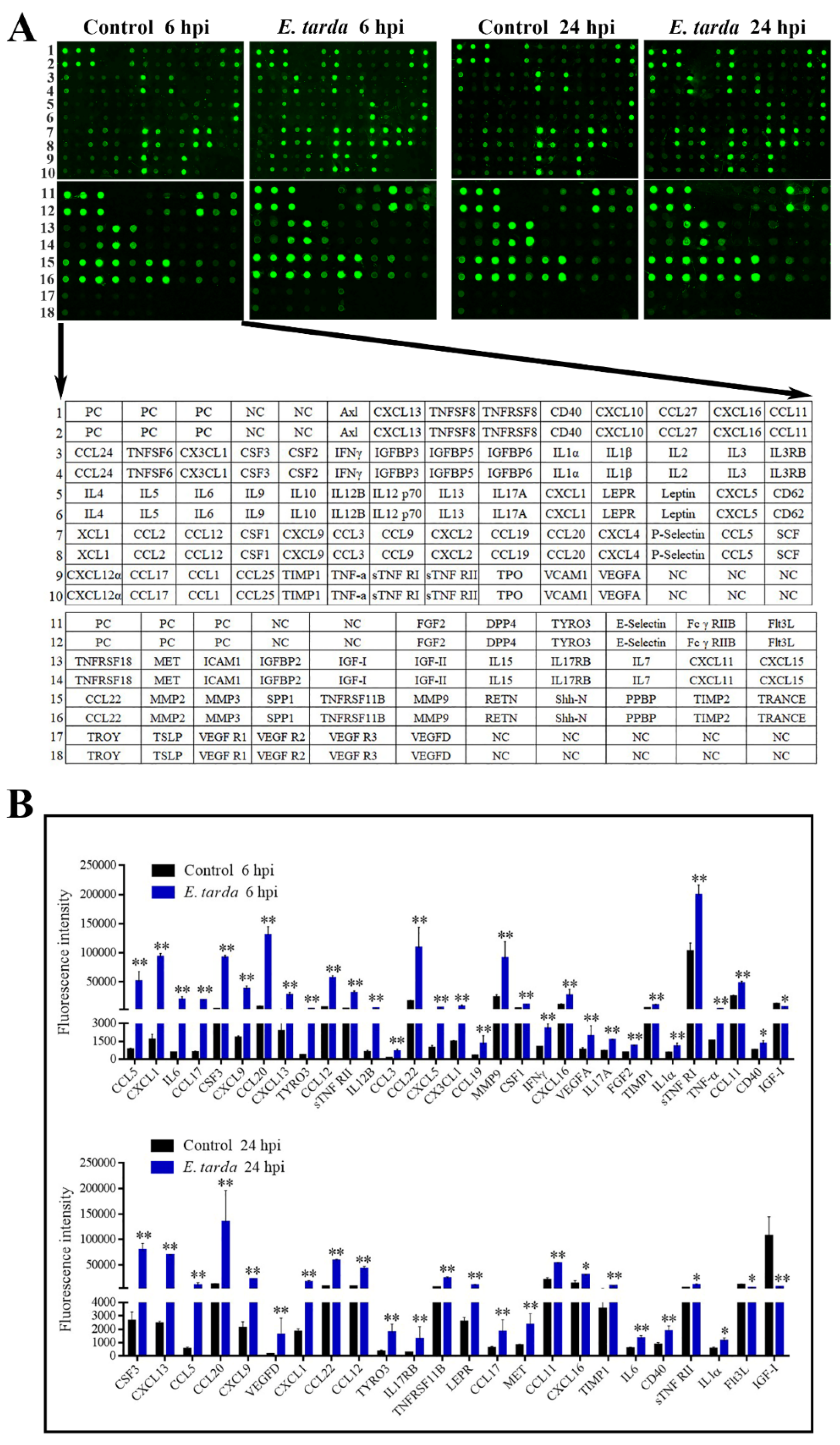 Biomolecules 11 01242 g001 Biomolecules 11 01242 g001