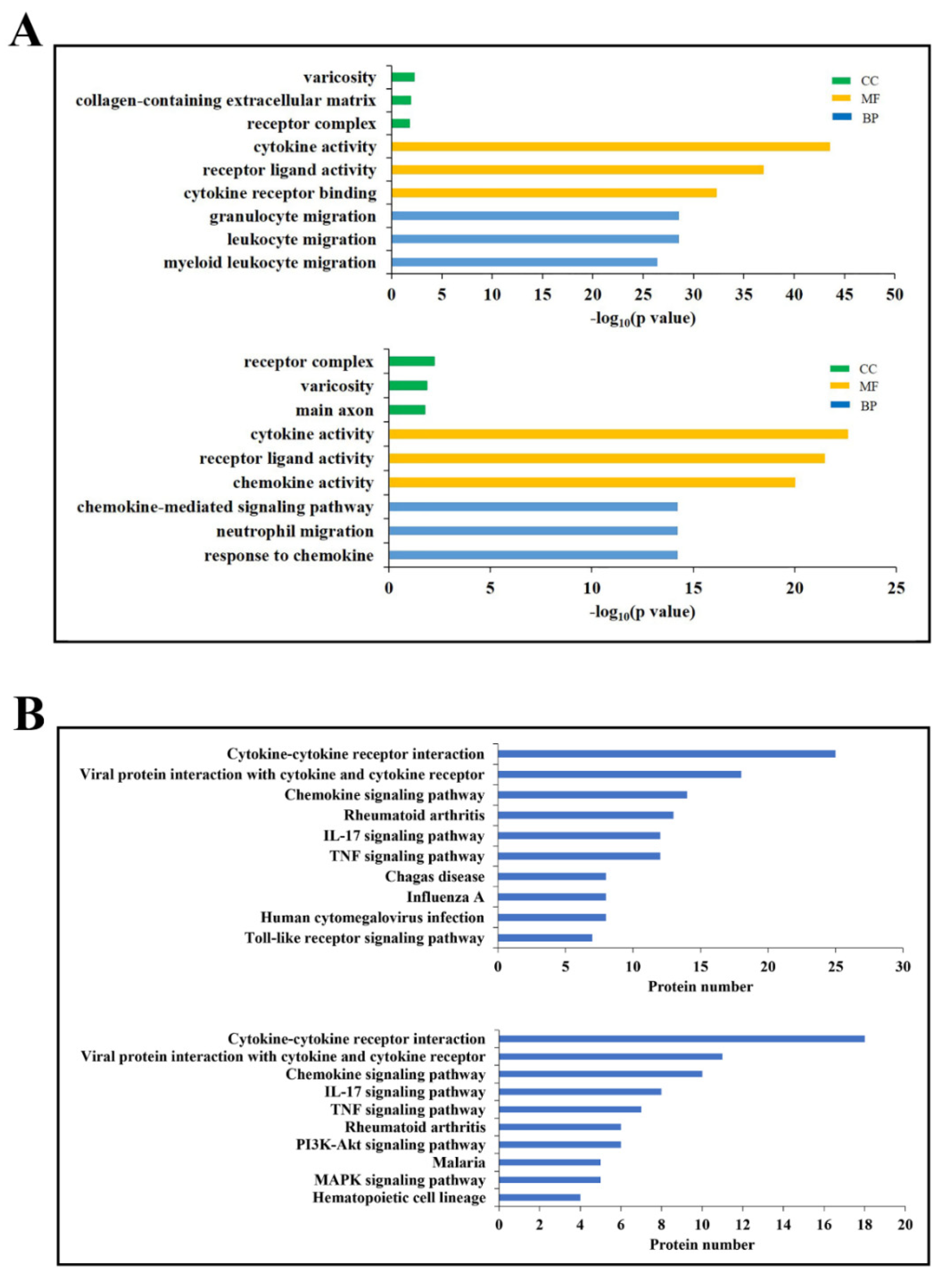 Biomolecules 11 01242 g002 Biomolecules 11 01242 g002
