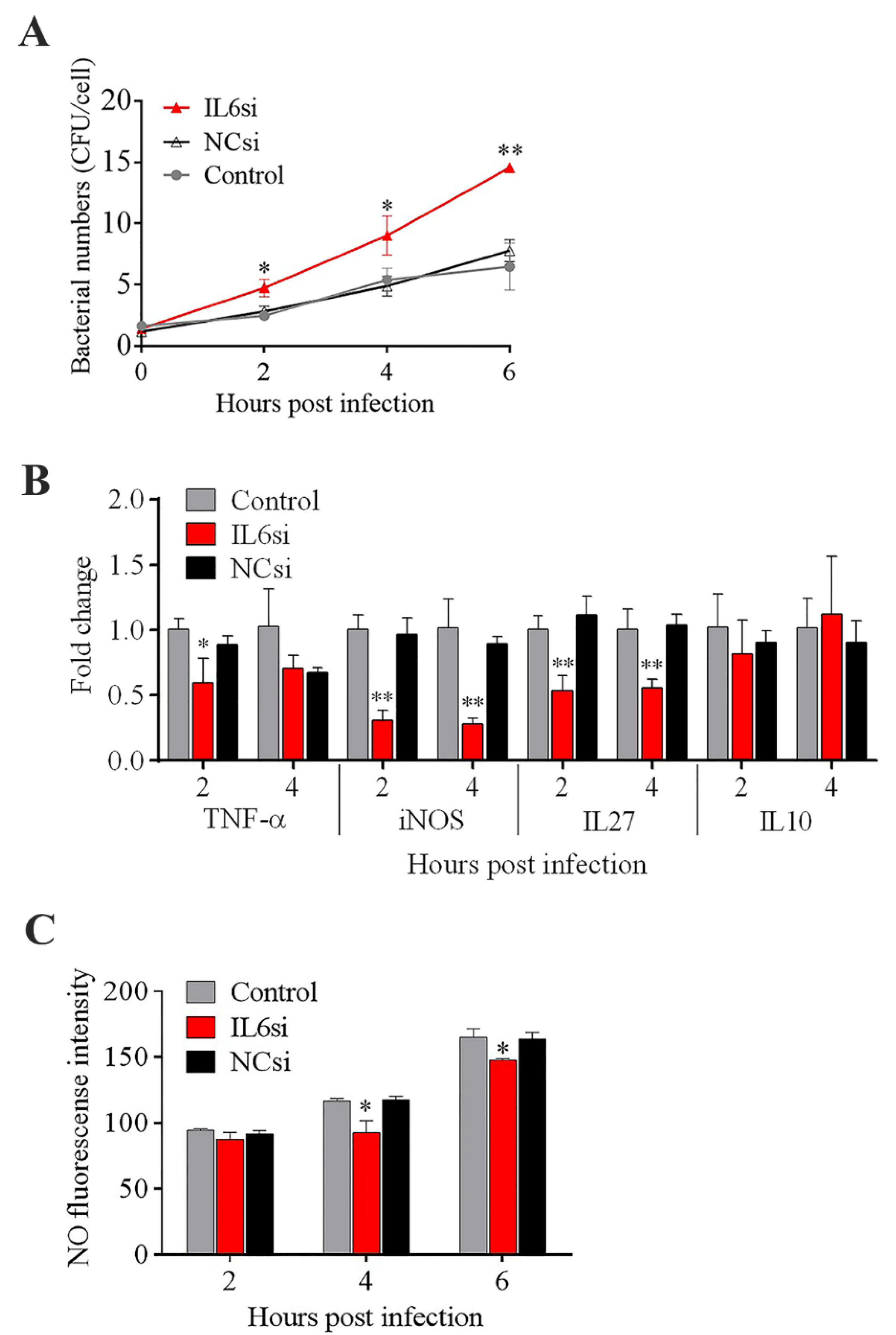 Biomolecules 11 01242 g005 Biomolecules 11 01242 g005