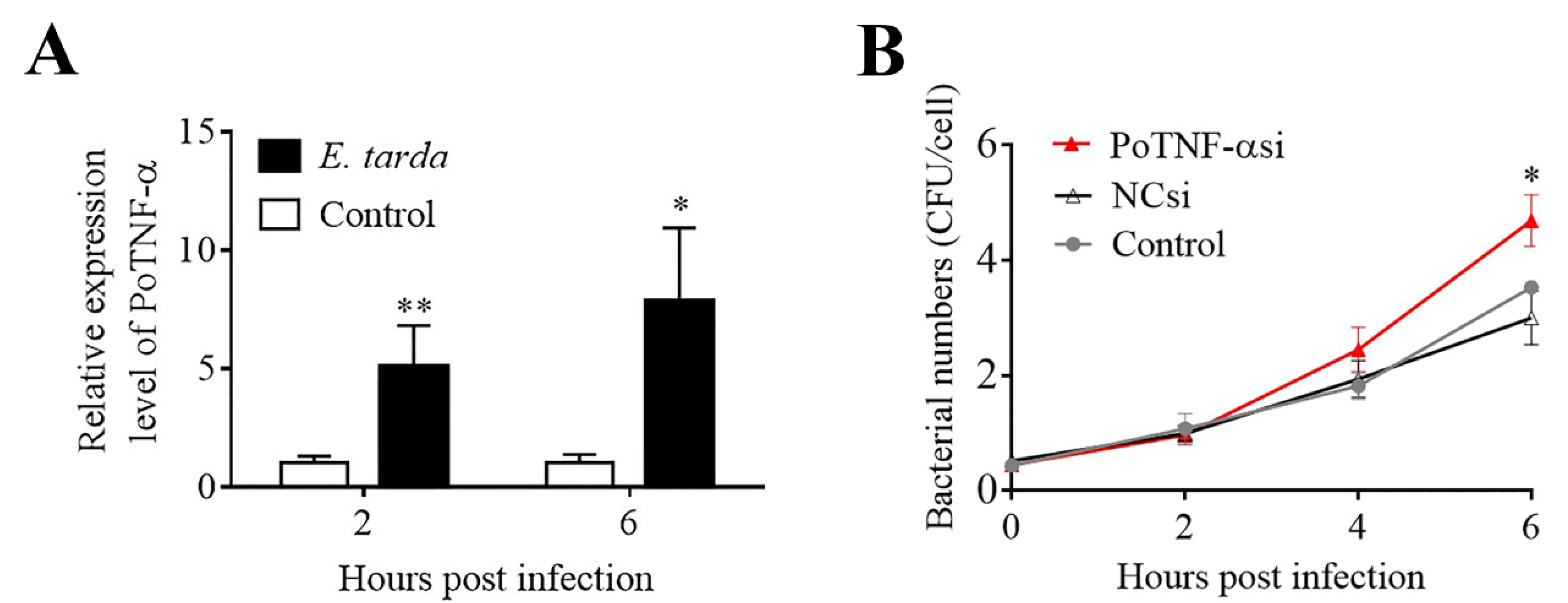 Biomolecules 11 01242 g006 Biomolecules 11 01242 g006