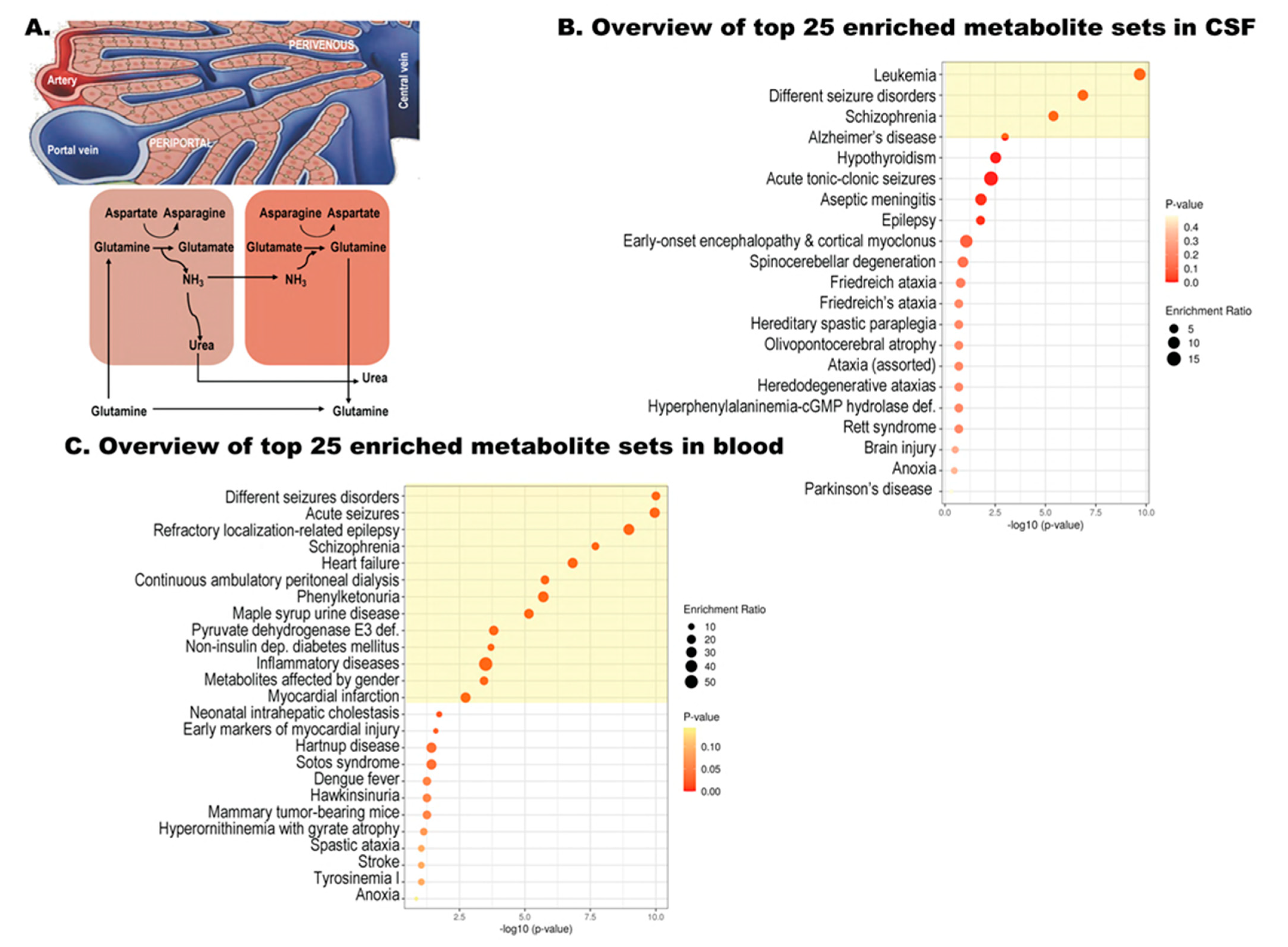 Biomolecules 11 01243 g002 Biomolecules 11 01243 g002