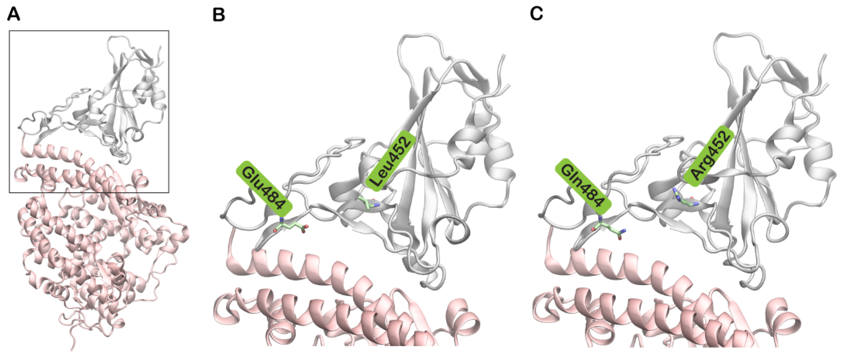 Biomolecules 11 01244 g001