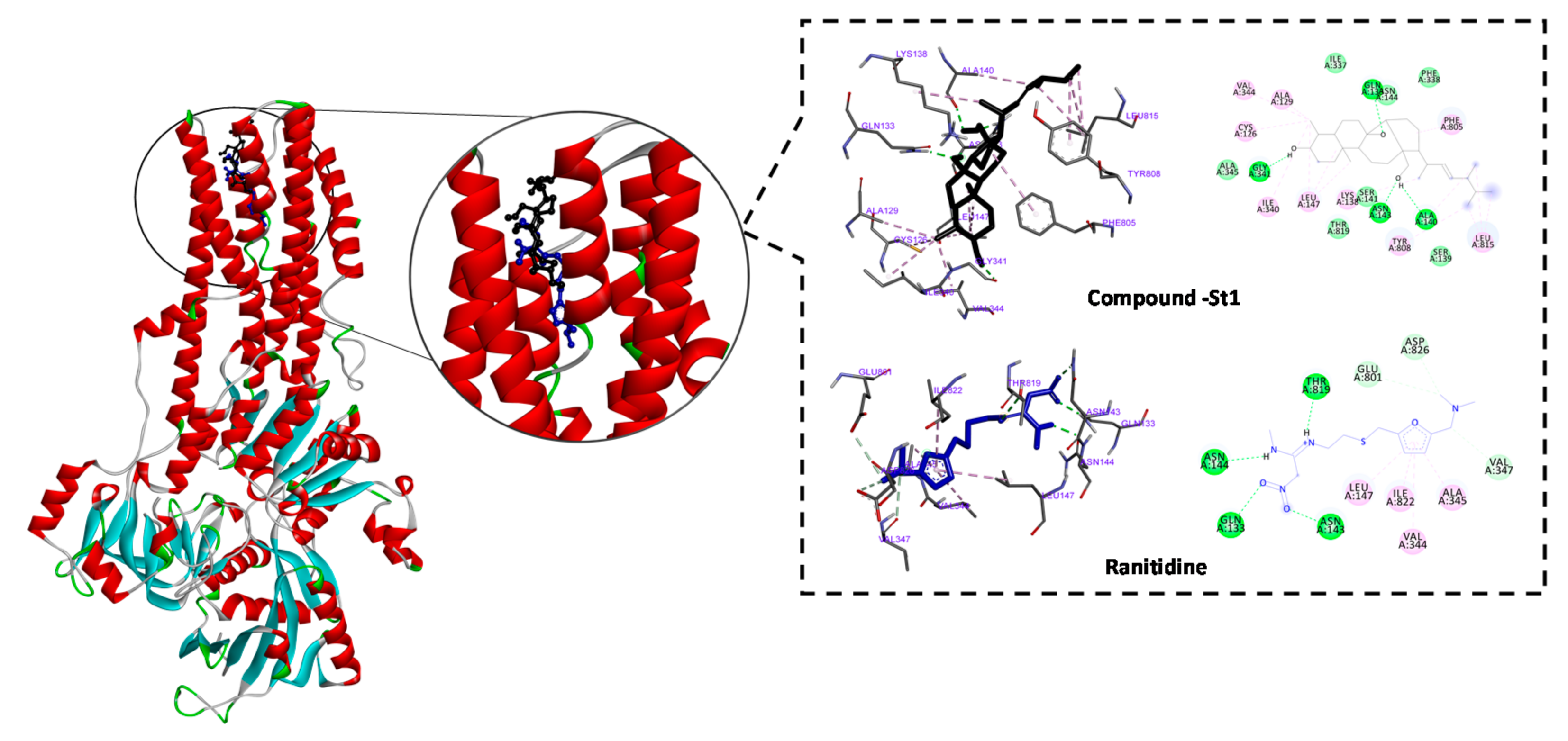 Biomolecules 11 01247 g004