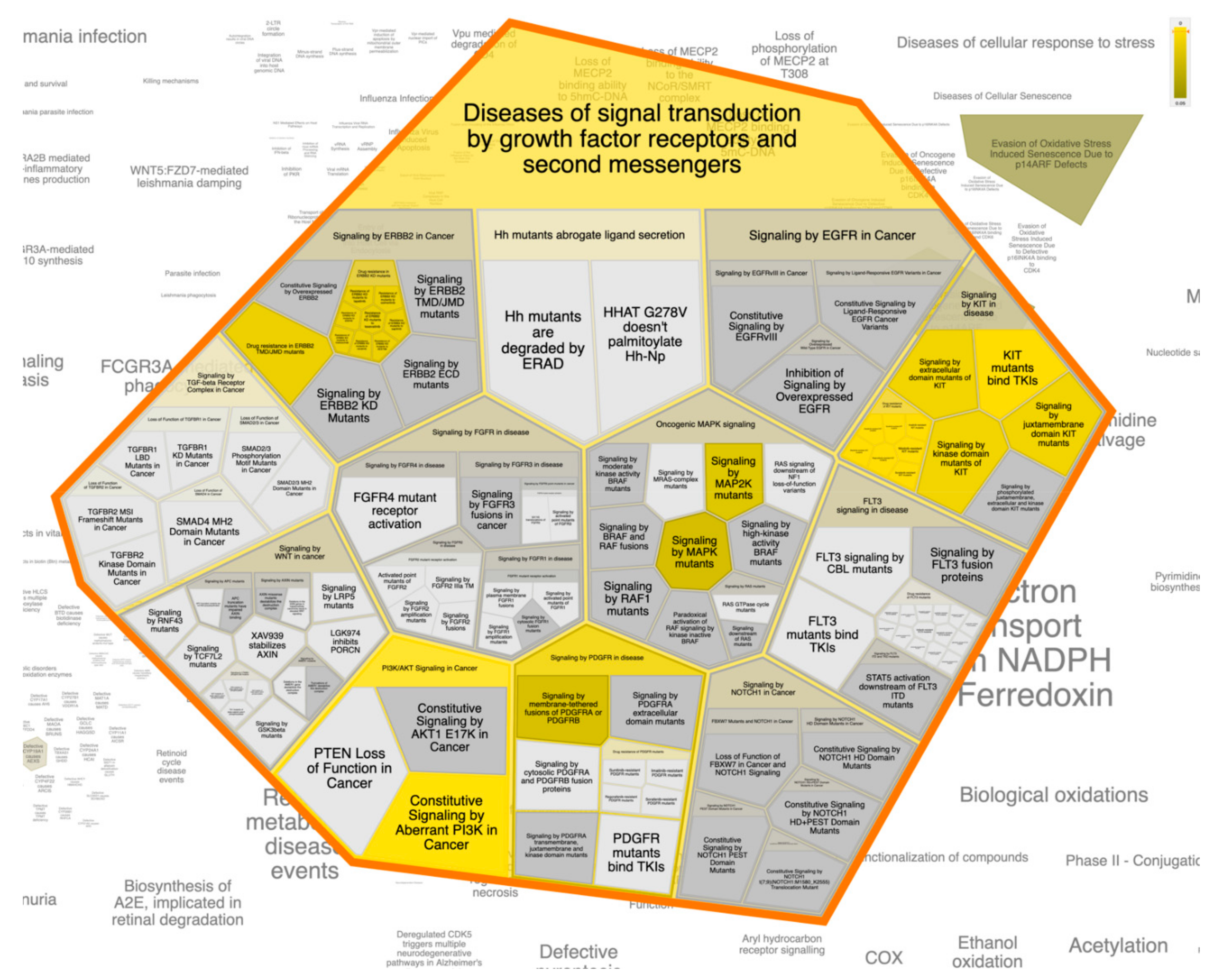 Biomolecules 11 01247 g007