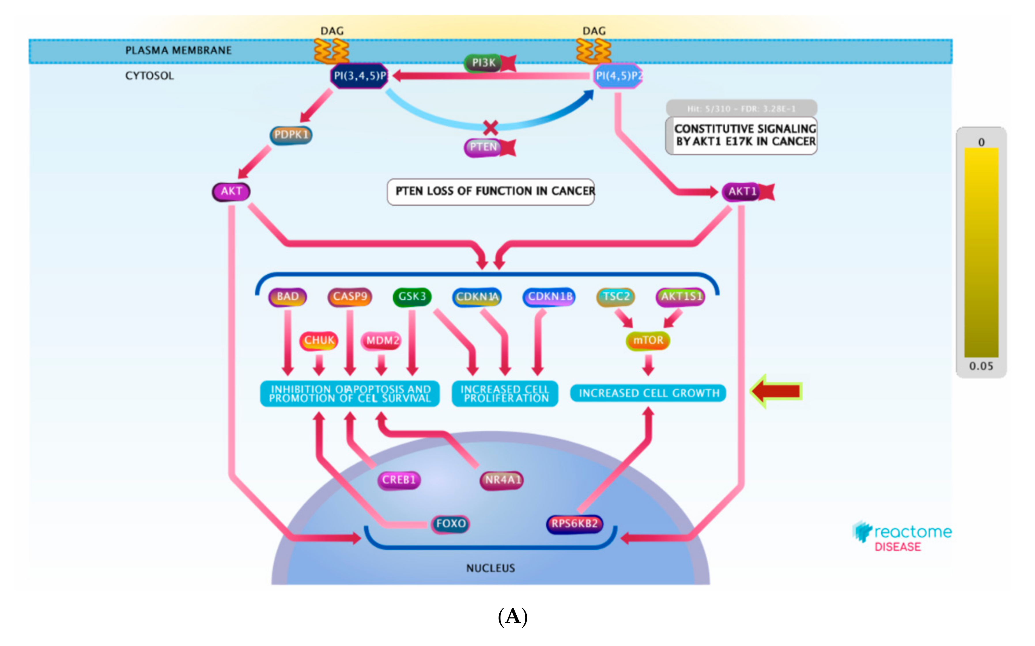 Biomolecules 11 01247 g008a