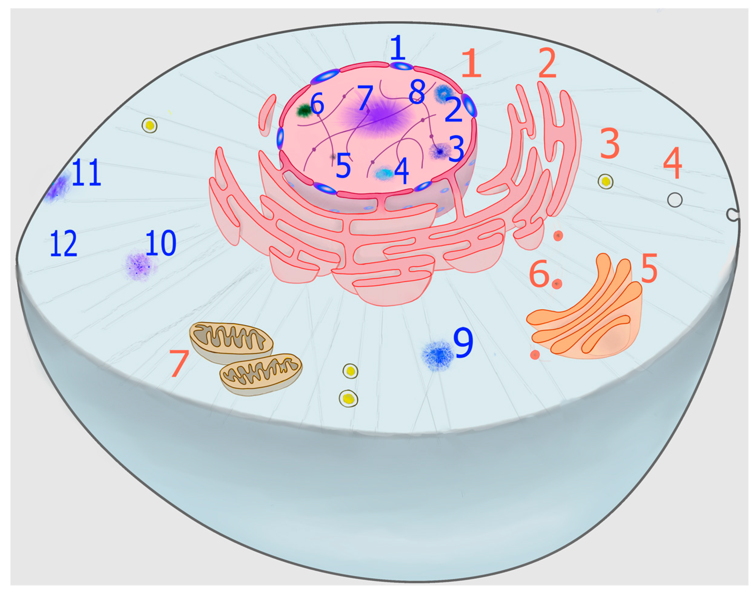 Markov State Models Reconcile Conformational Plasticity of GTPase with Its  Substrate Binding Event