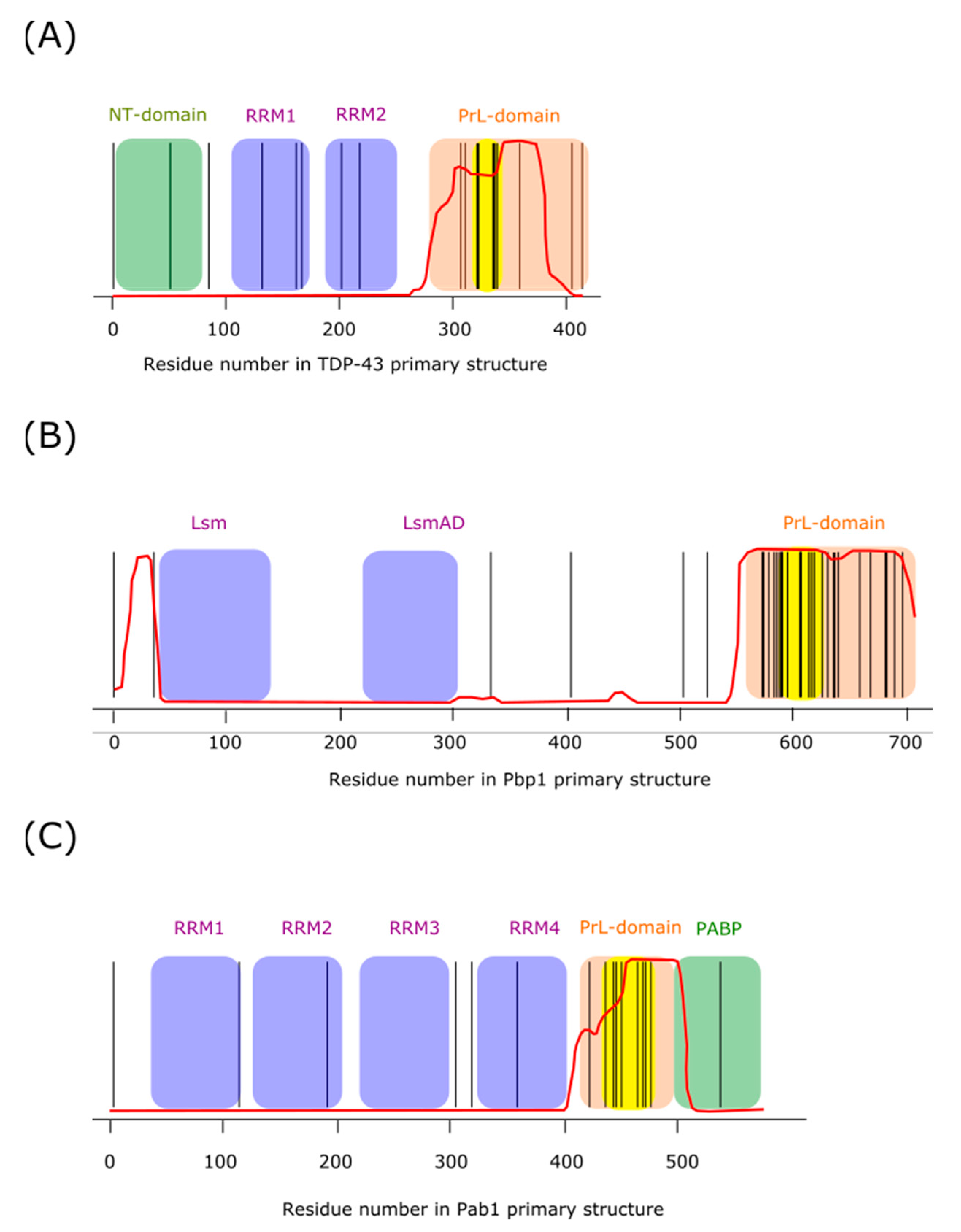 Biomolecules 11 01248 g003 Biomolecules 11 01248 g003