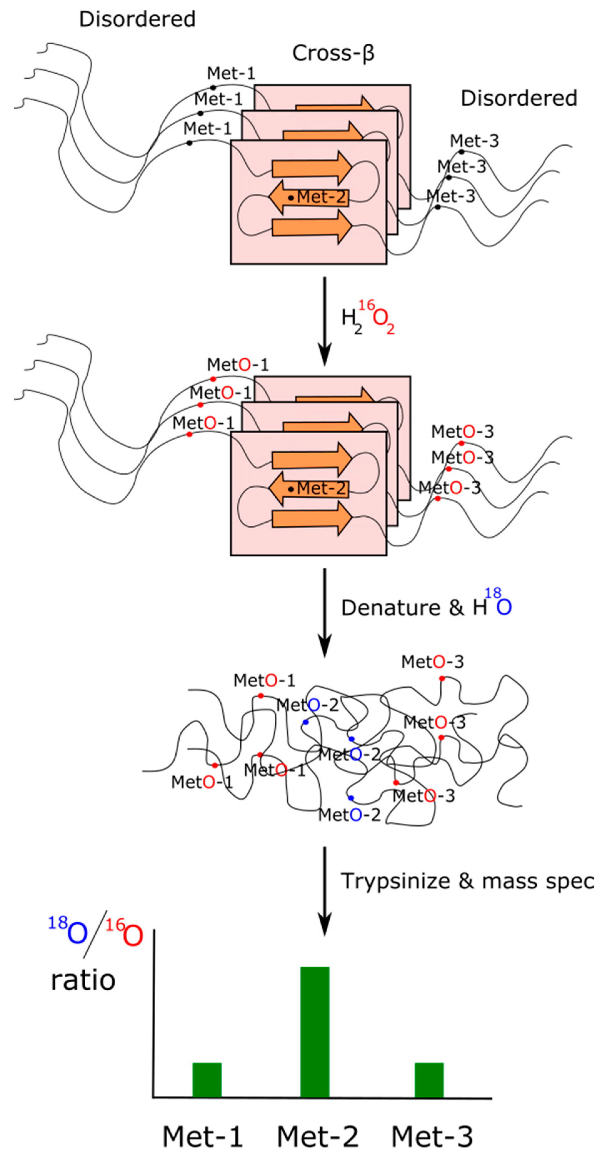 Biomolecules 11 01248 g004 Biomolecules 11 01248 g004
