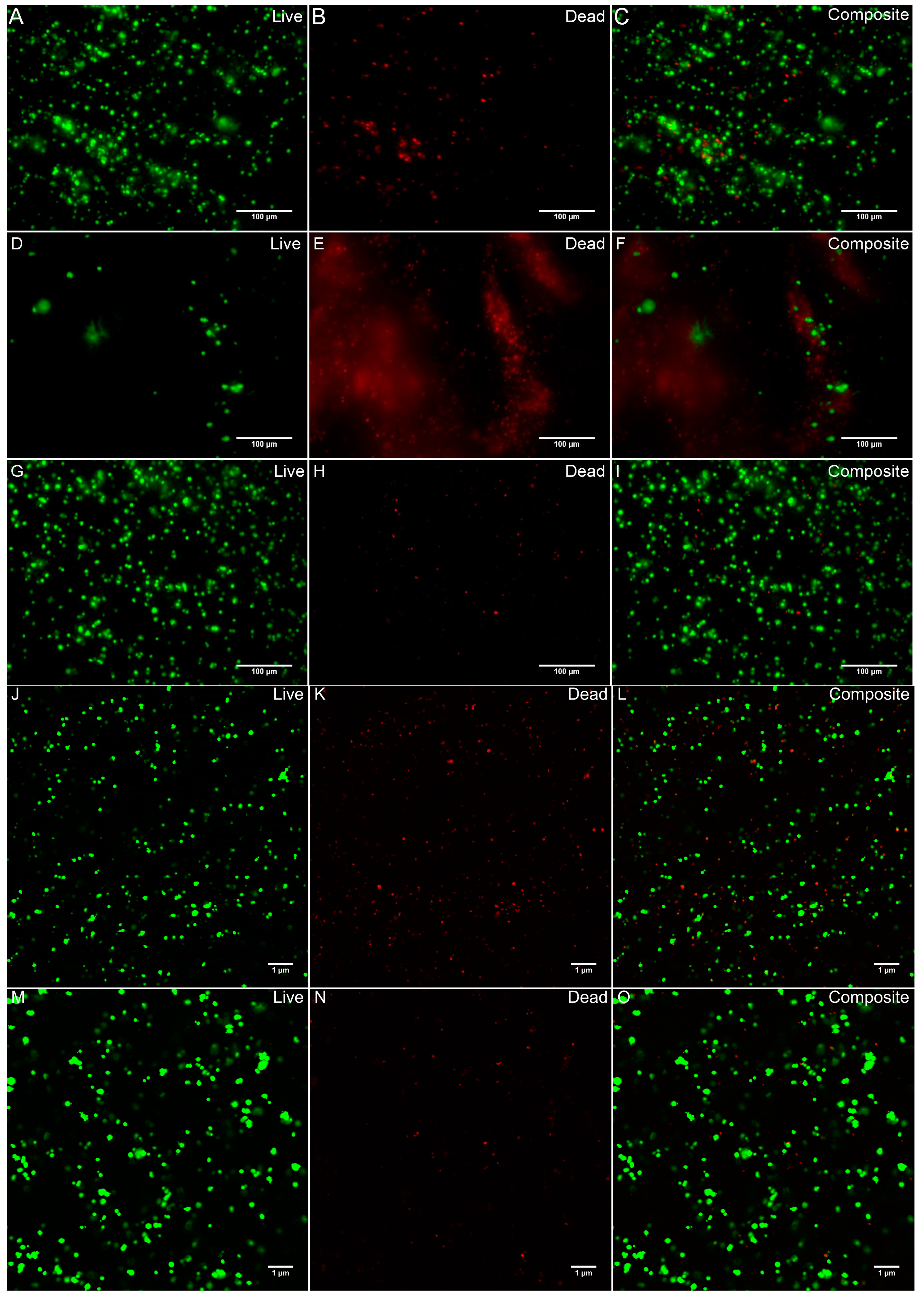 Biomolecules 11 01250 g004a
