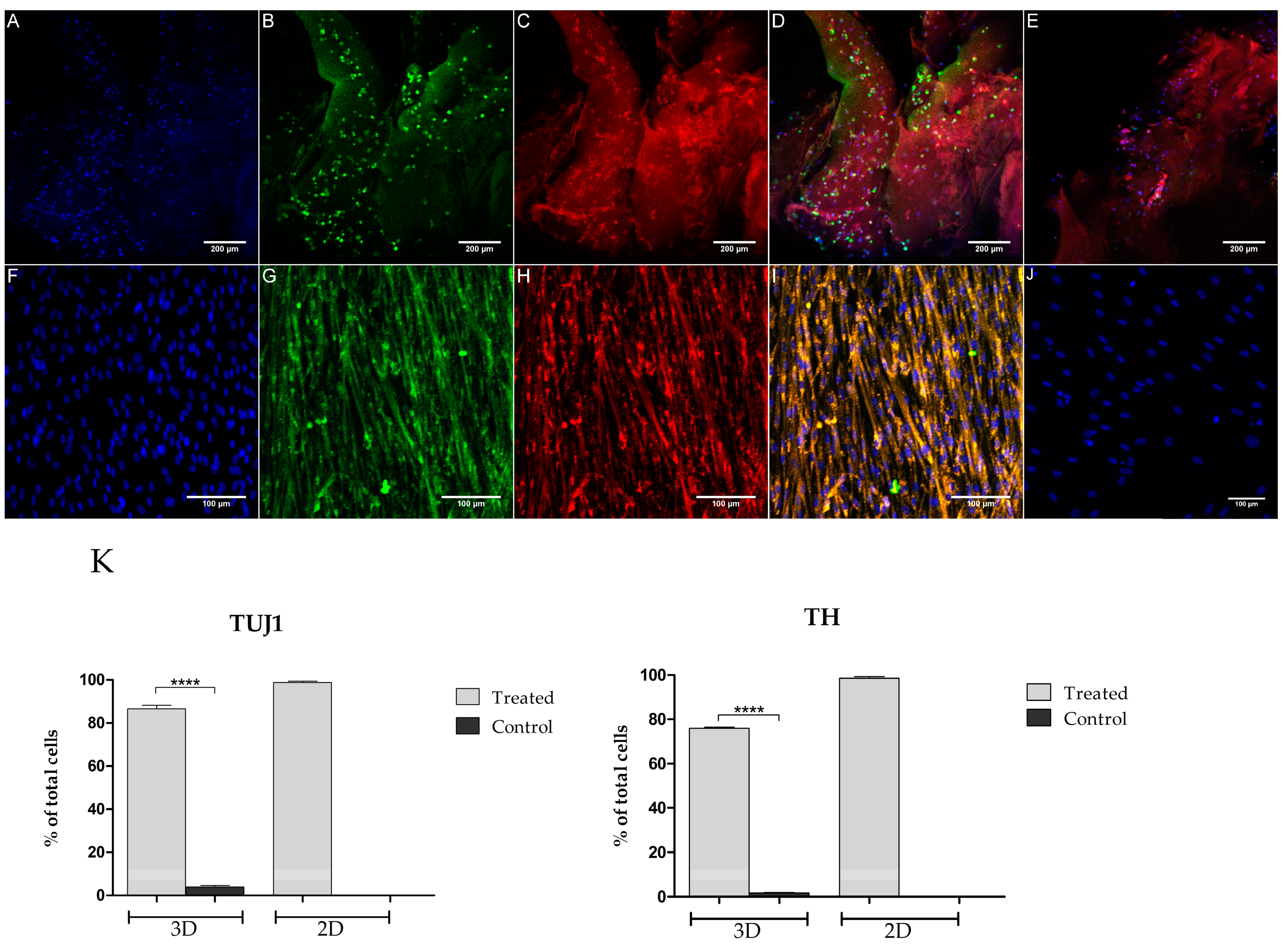 Biomolecules 11 01250 g005