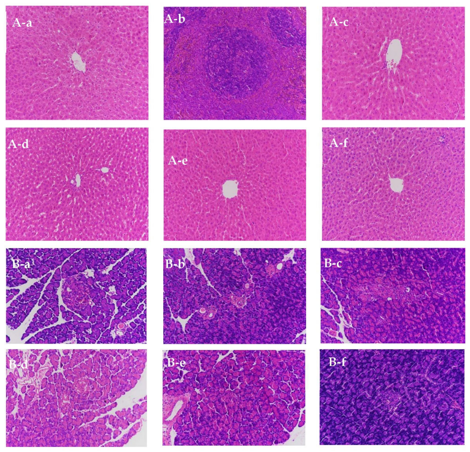 Biomolecules 11 01255 g005 550