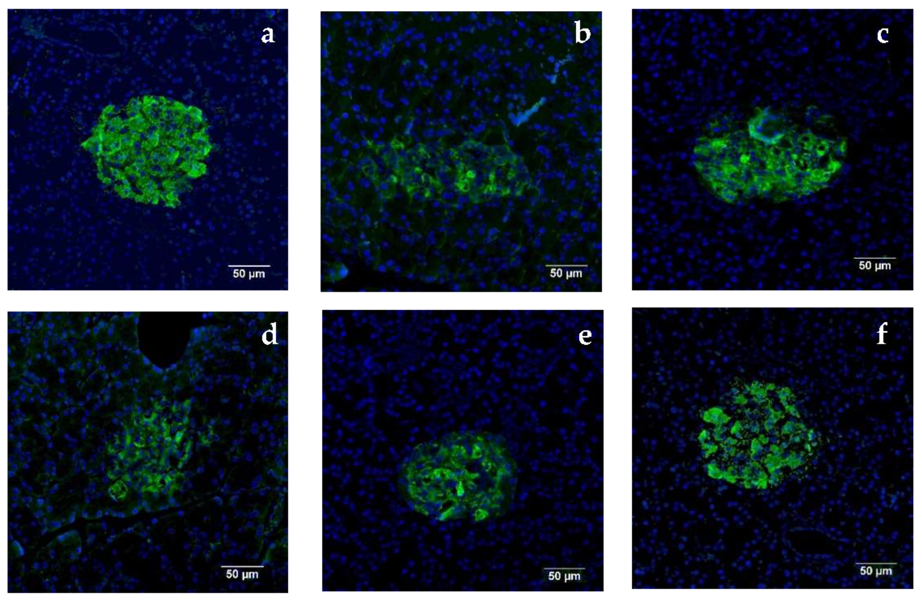 Biomolecules 11 01255 g006 550