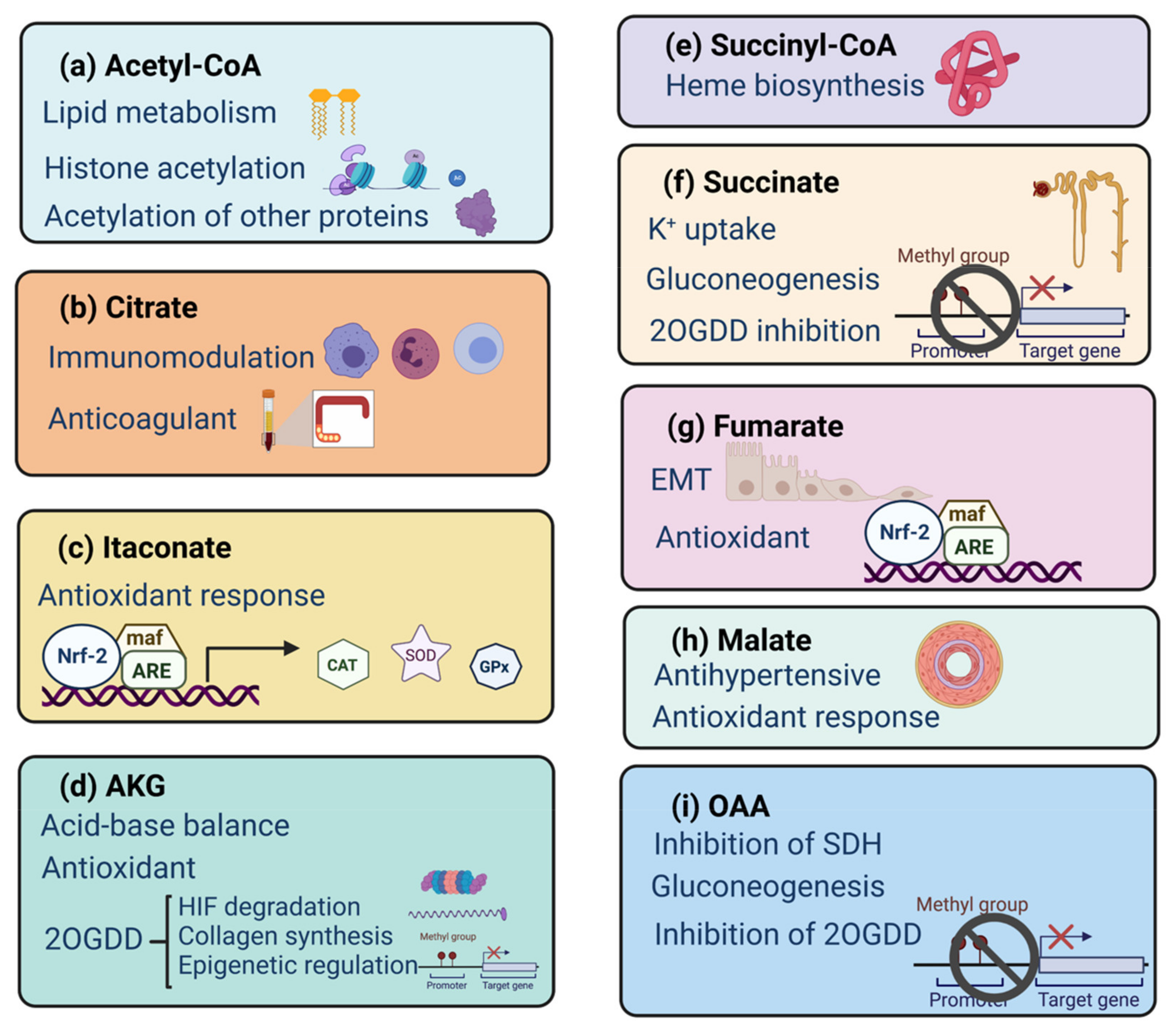 Biomolecules 11 01259 g002 Biomolecules 11 01259 g002