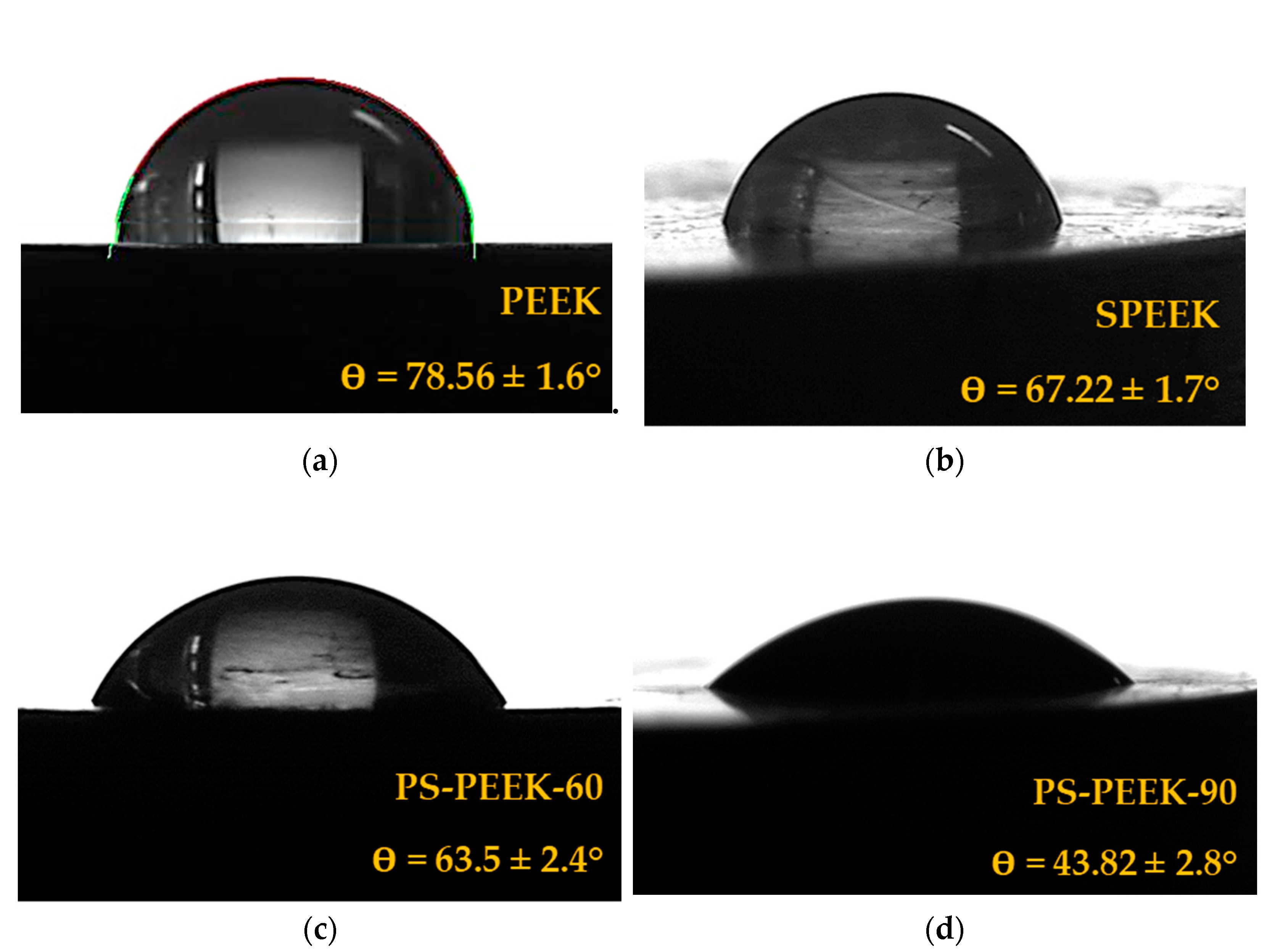 Biomolecules 11 01260 g002 Biomolecules 11 01260 g002