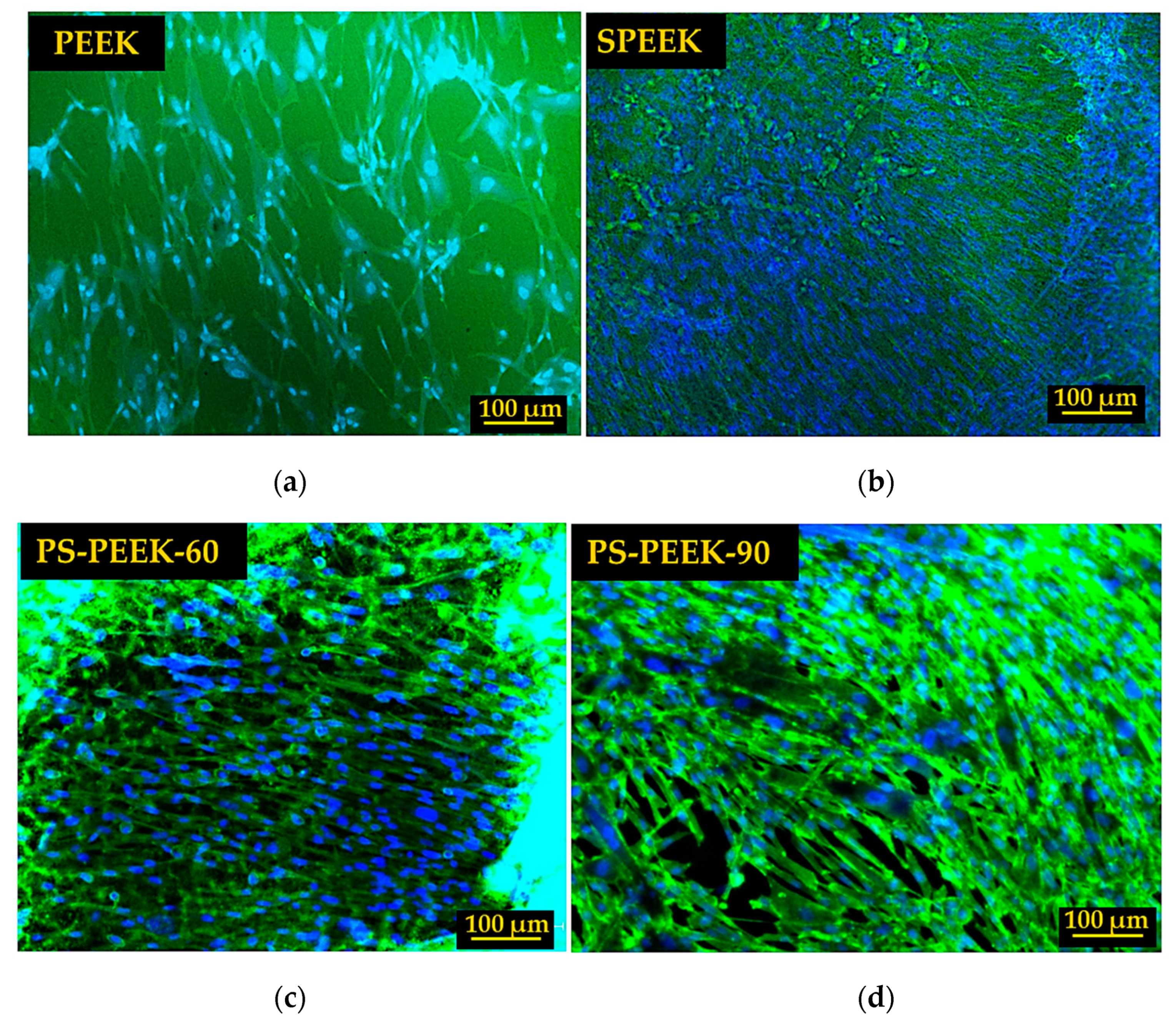 Biomolecules 11 01260 g005 Biomolecules 11 01260 g005