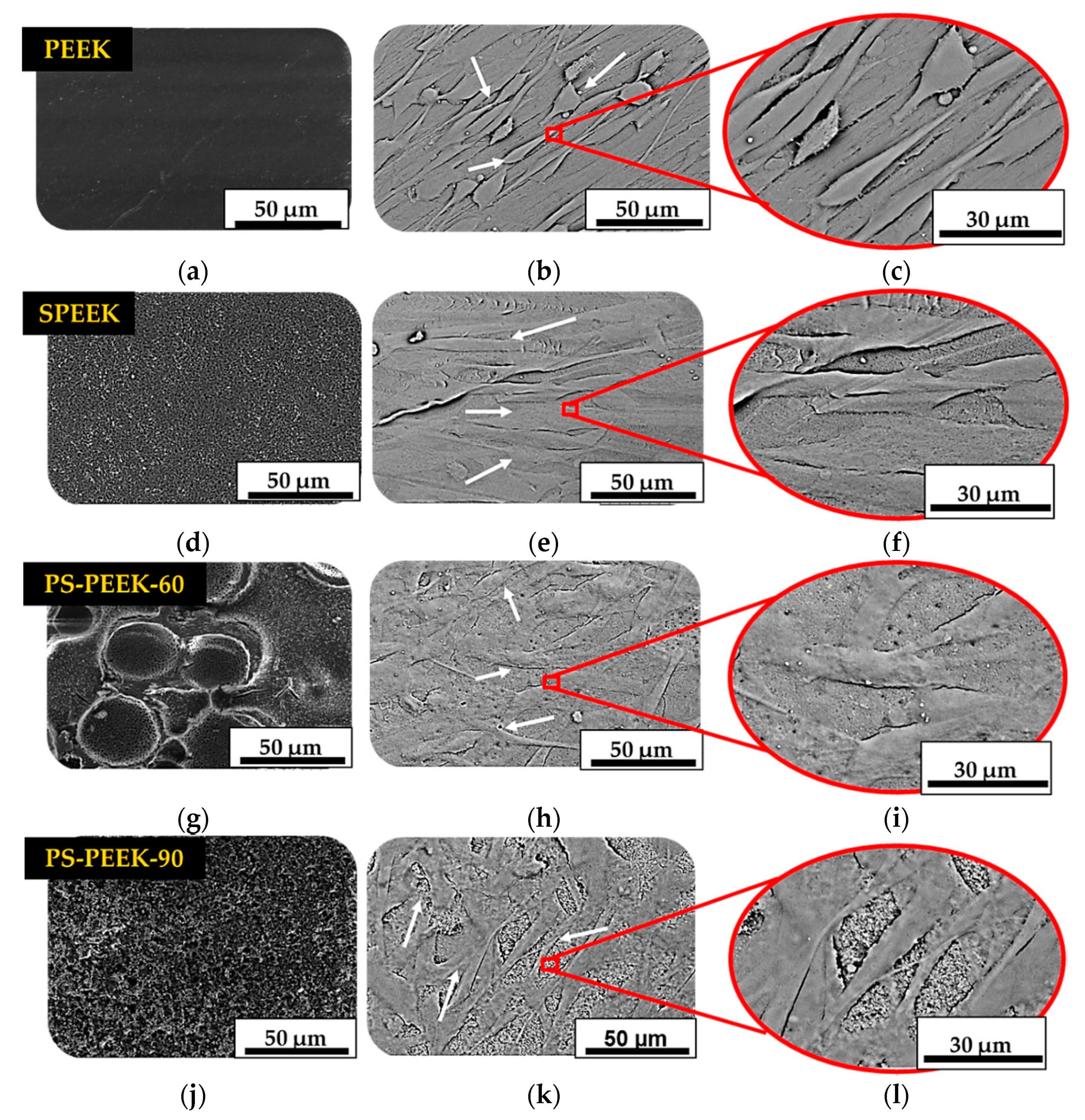 Biomolecules 11 01260 g006 Biomolecules 11 01260 g006