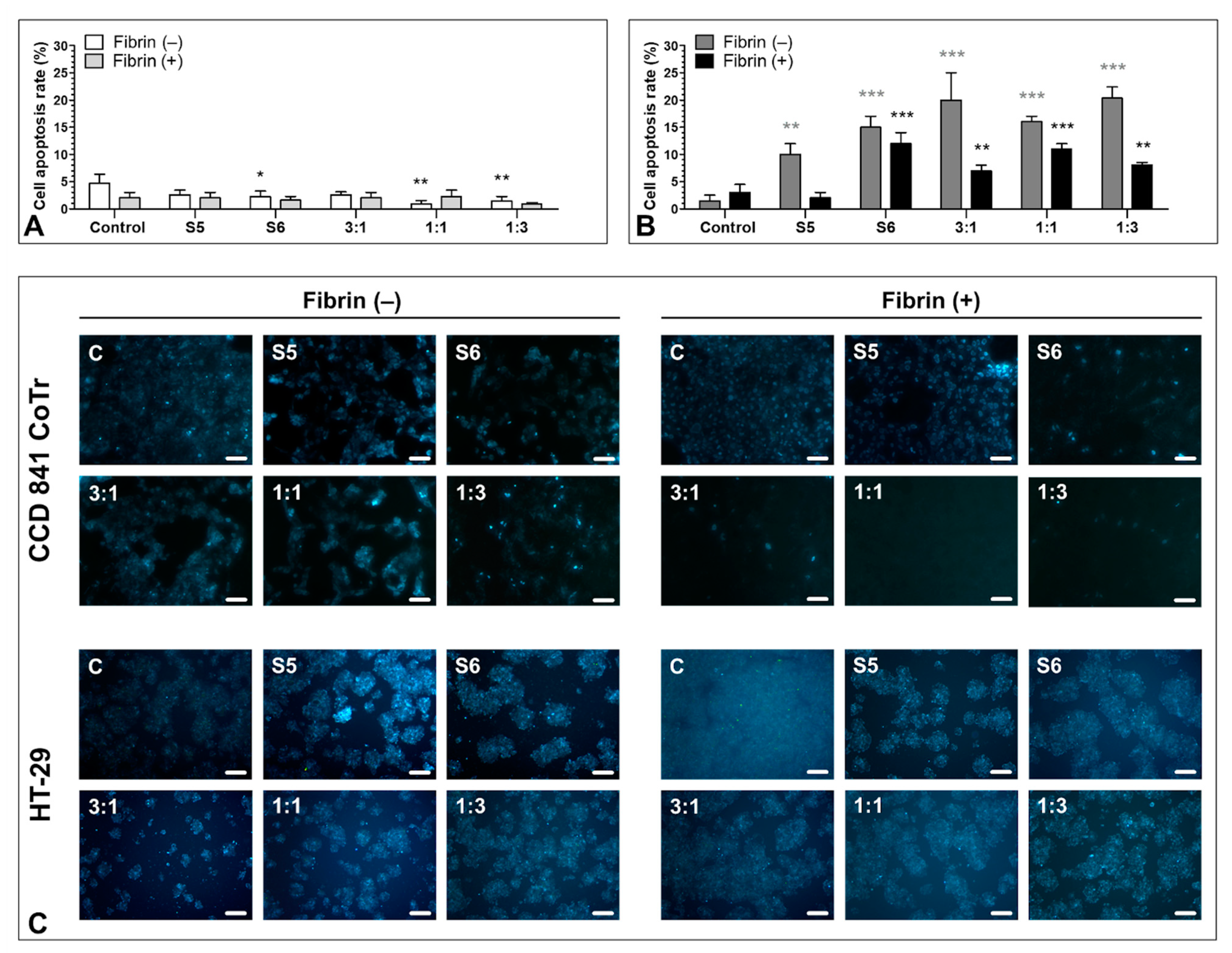 Biomolecules 11 01263 g006 Biomolecules 11 01263 g006