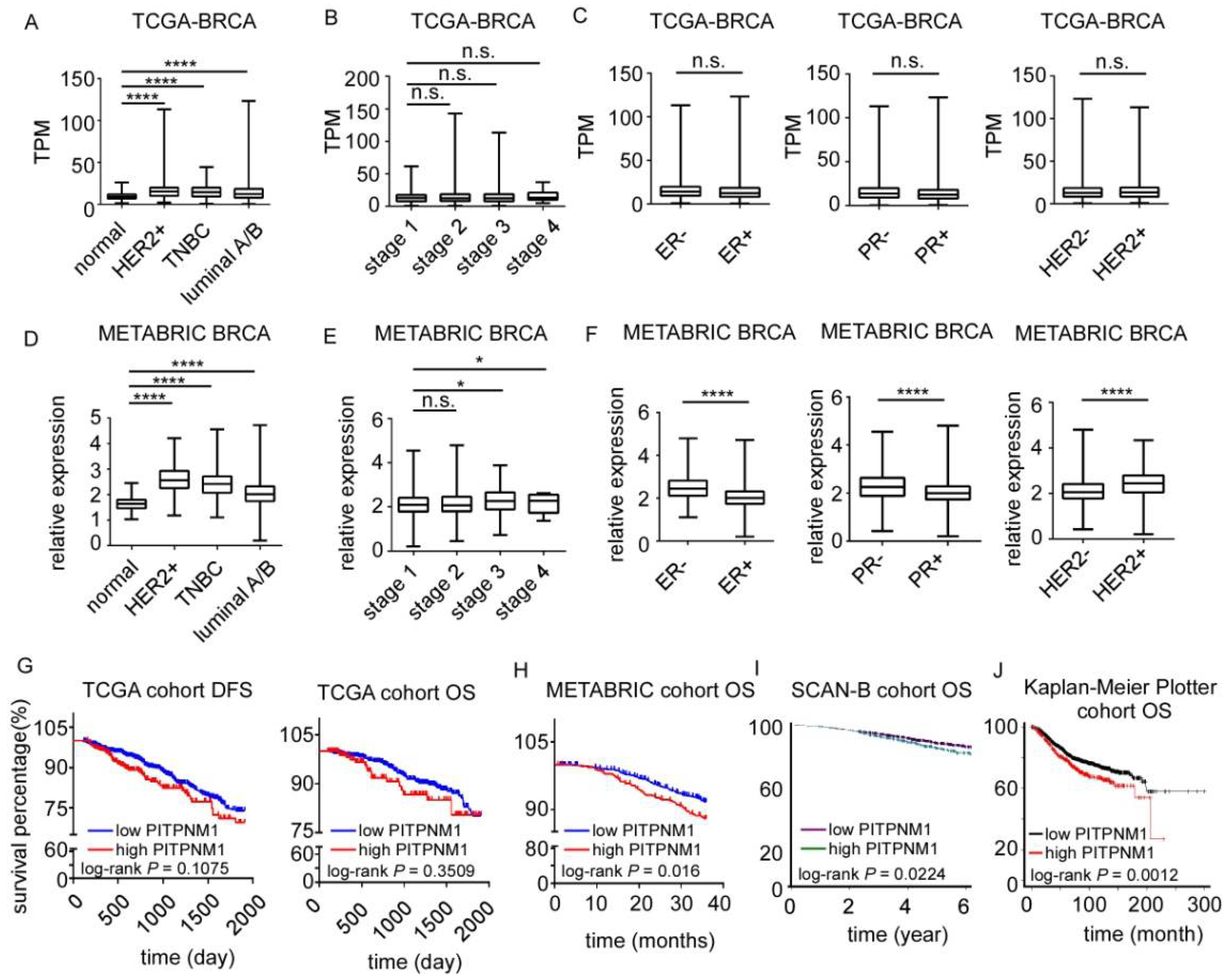 Biomolecules 11 01265 g001