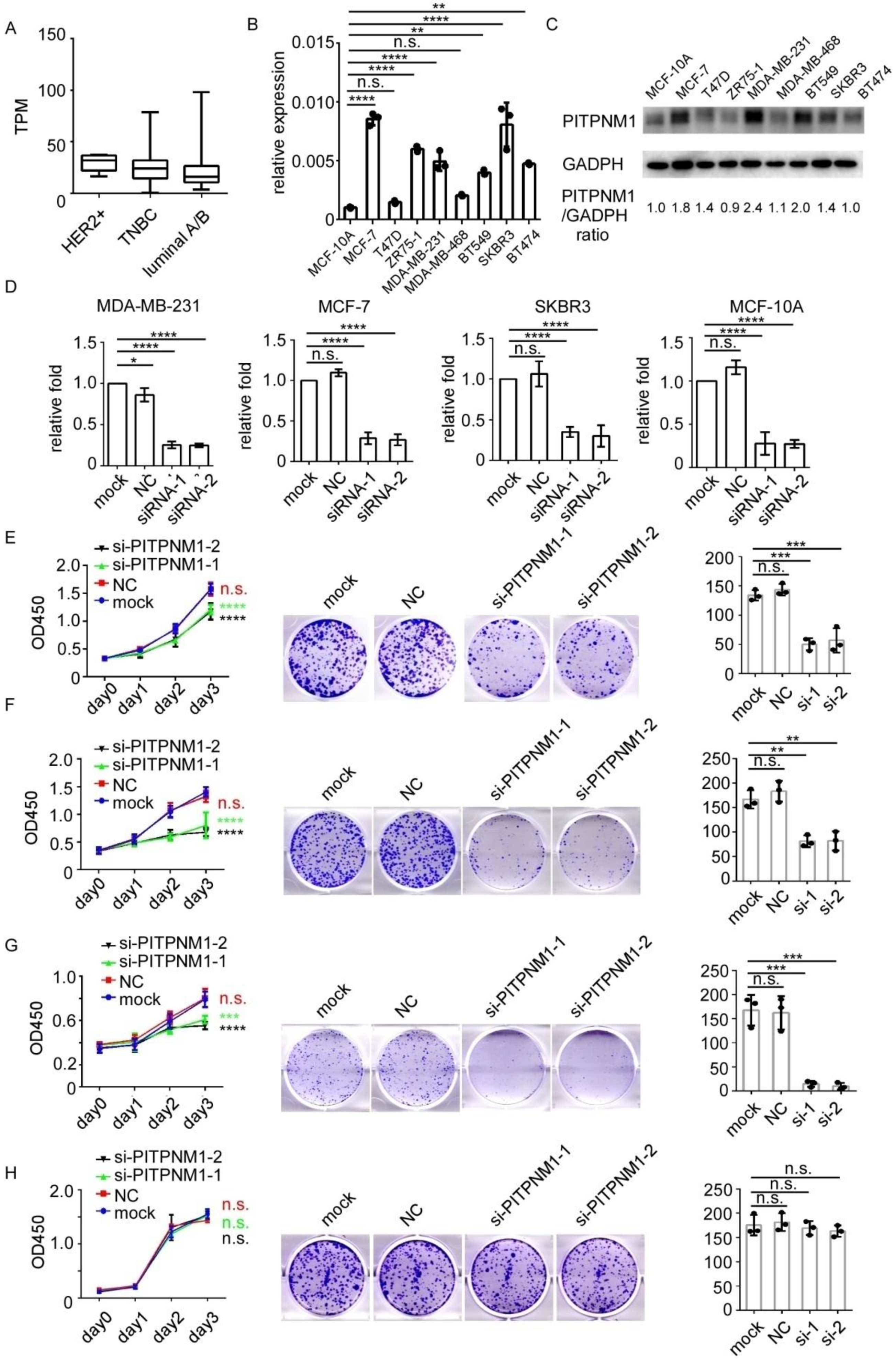 Biomolecules 11 01265 g003