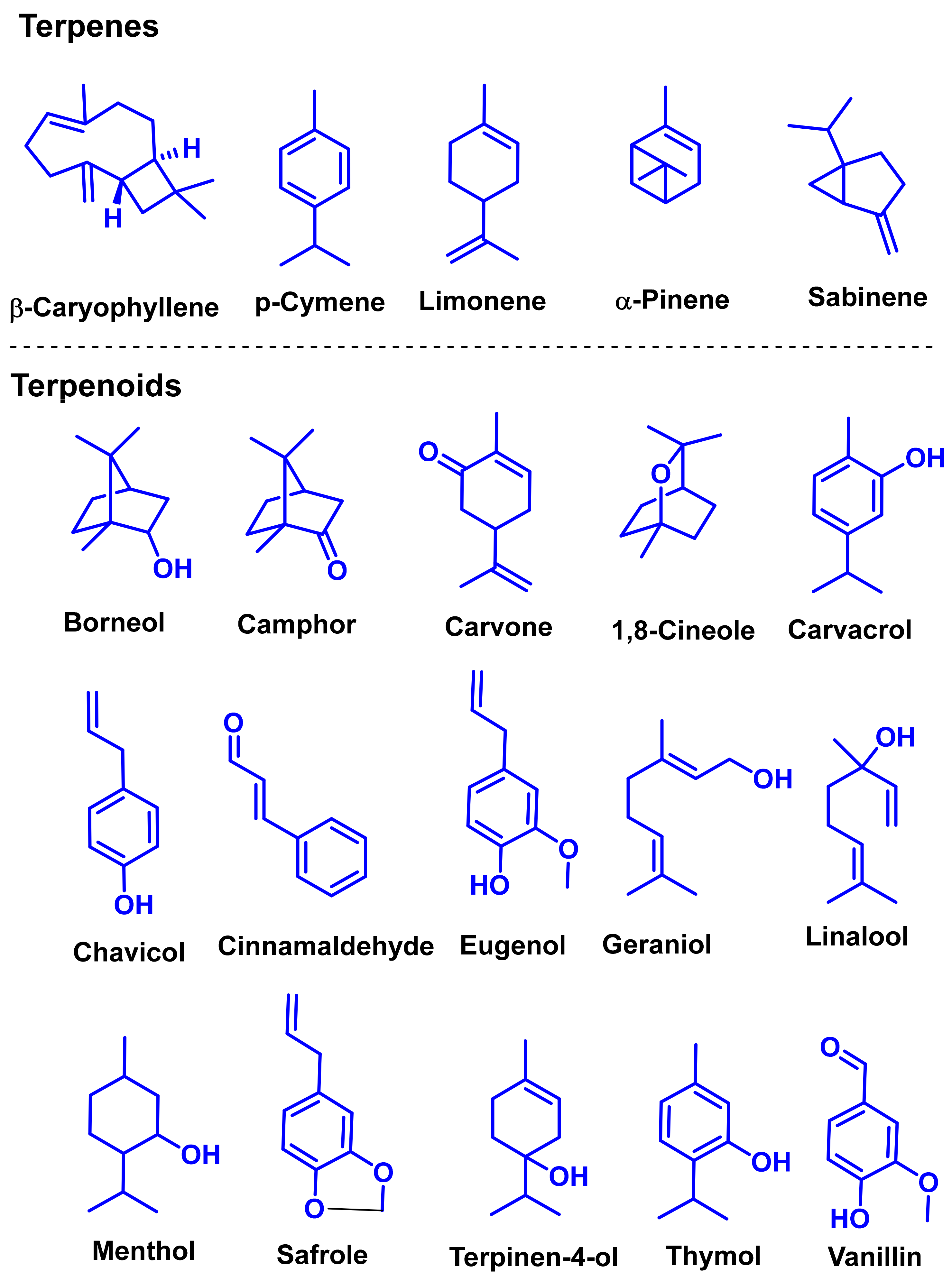 Biomolecules 11 01267 g001