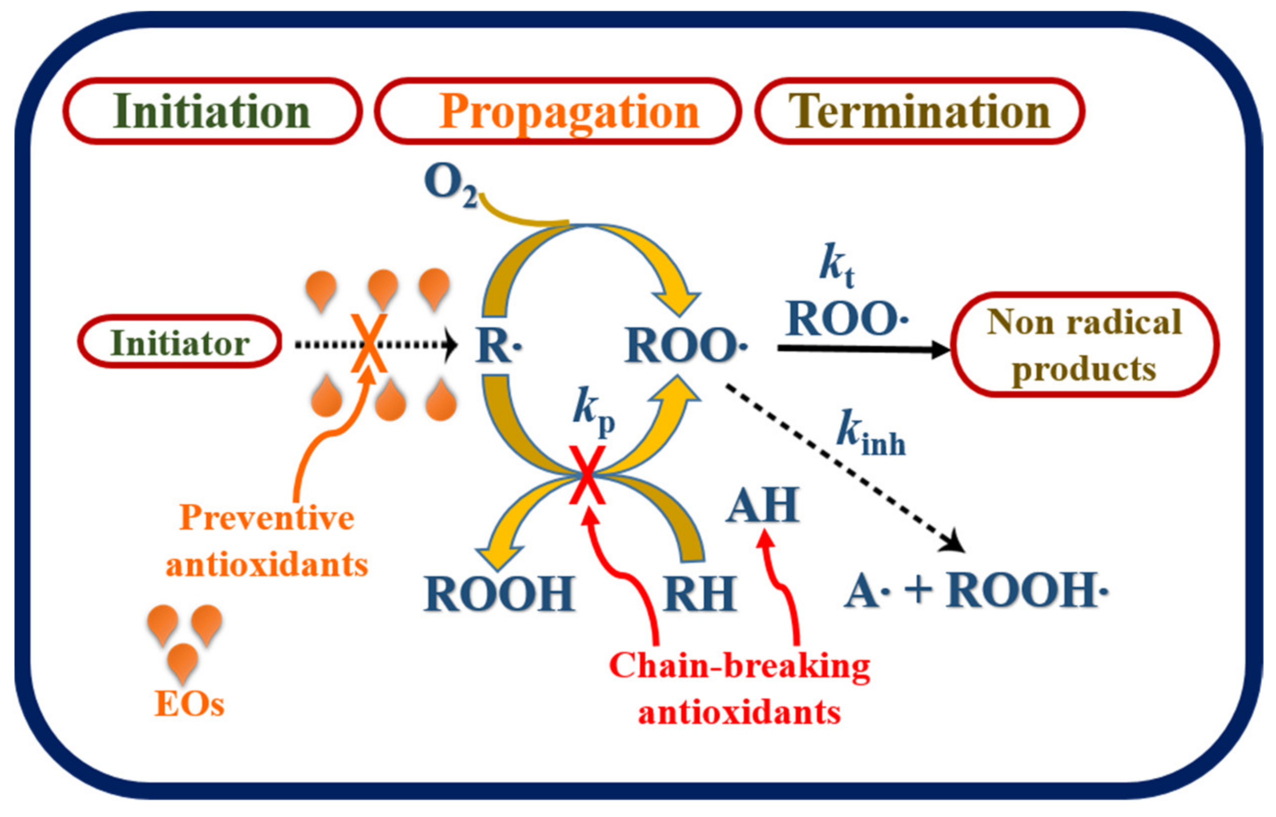 Biomolecules 11 01267 g002