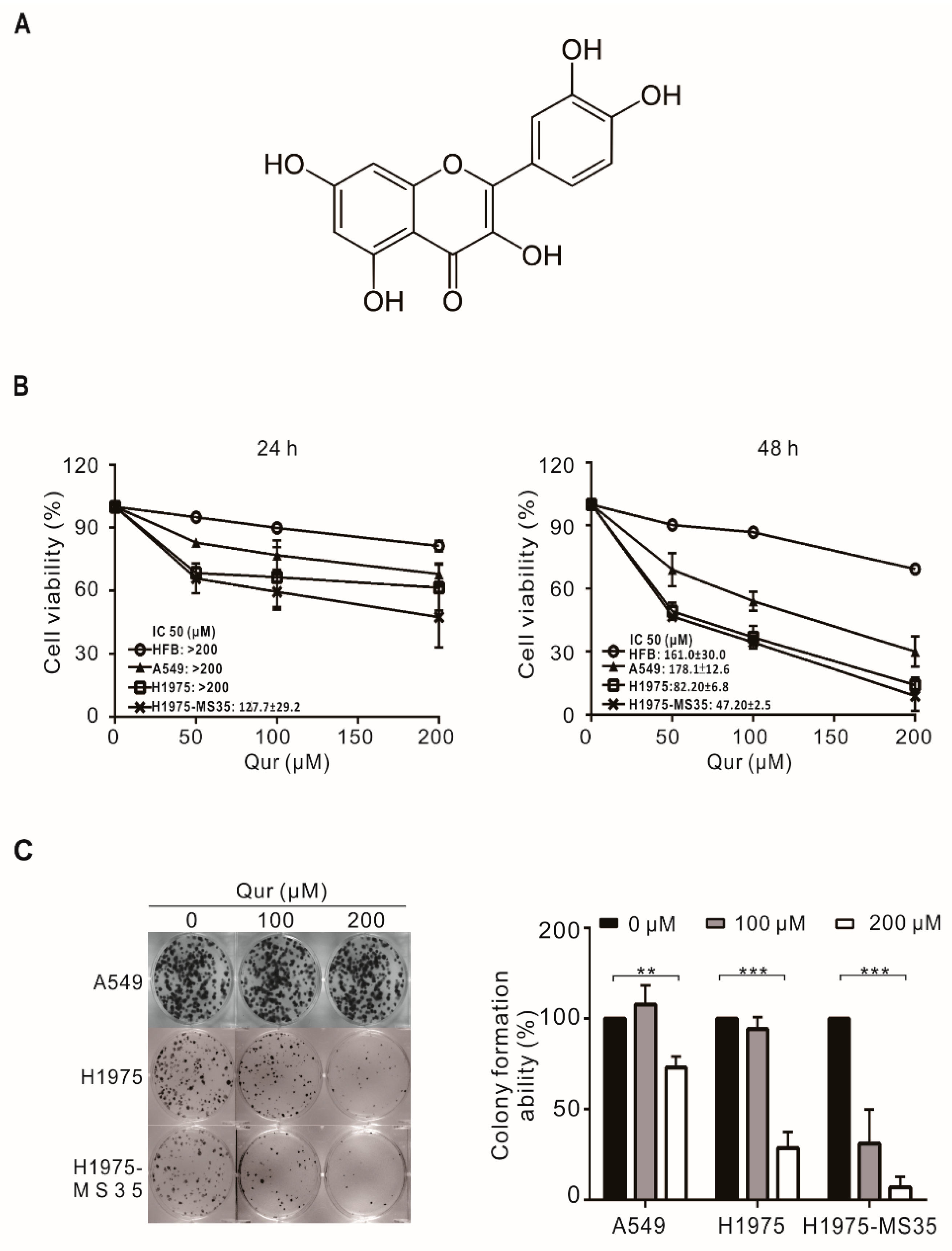 Biomolecules 11 01271 g001 Biomolecules 11 01271 g001