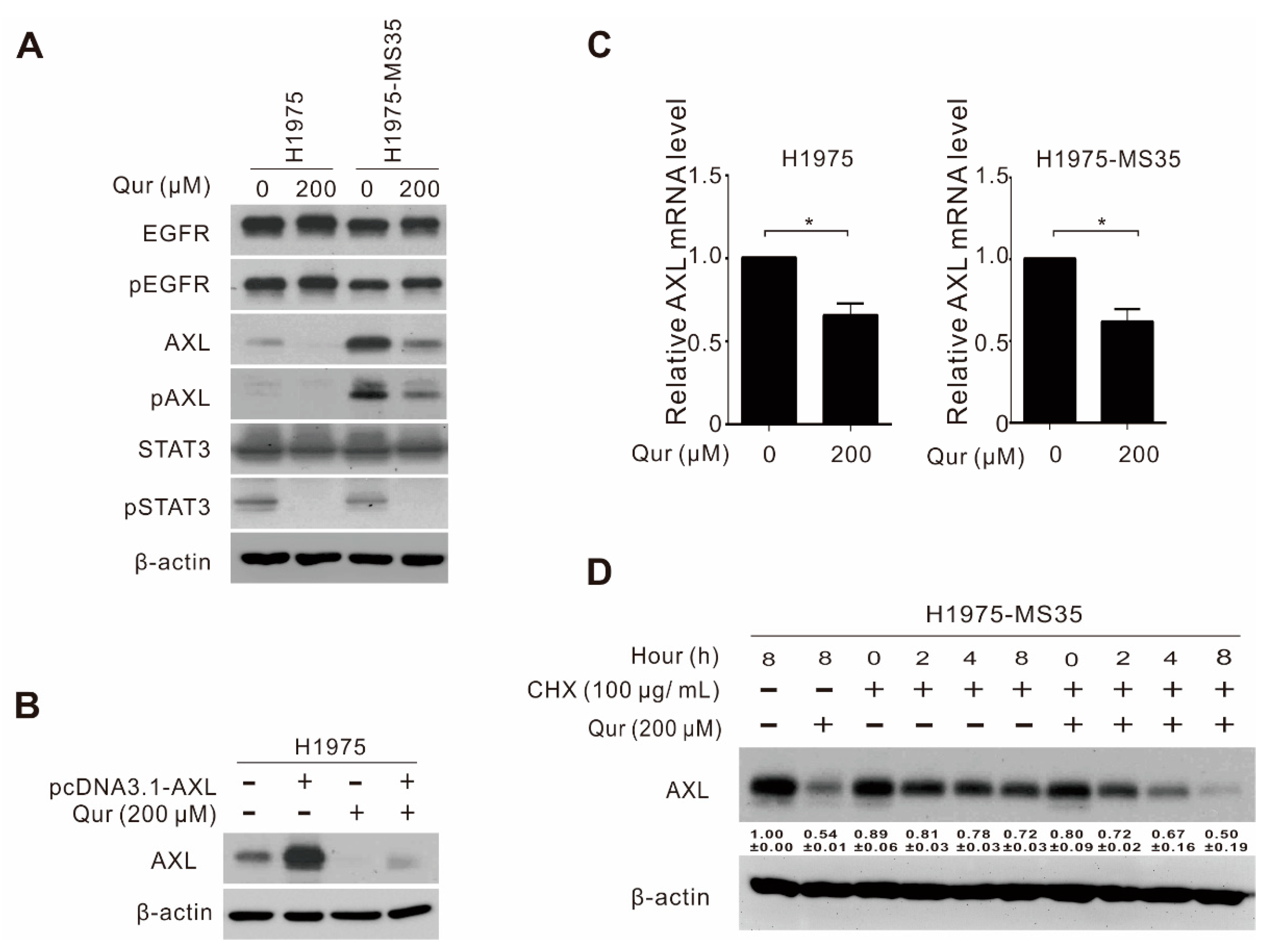 Biomolecules 11 01271 g003 Biomolecules 11 01271 g003
